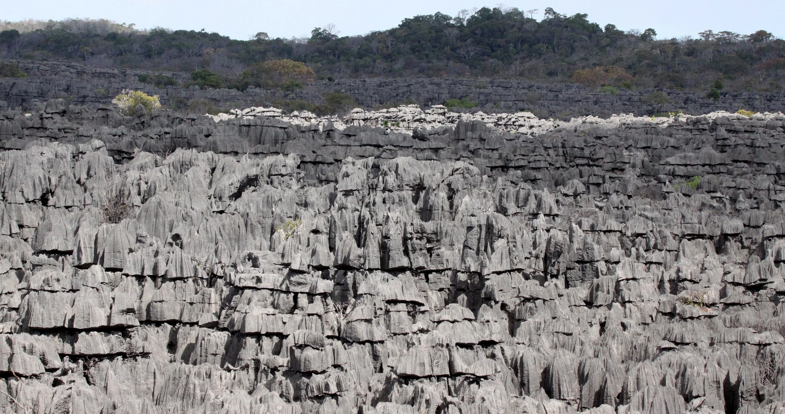 ANKARANA NATIONAL PARK MADAGASCAR - TSINGY FOREST (36).JPG