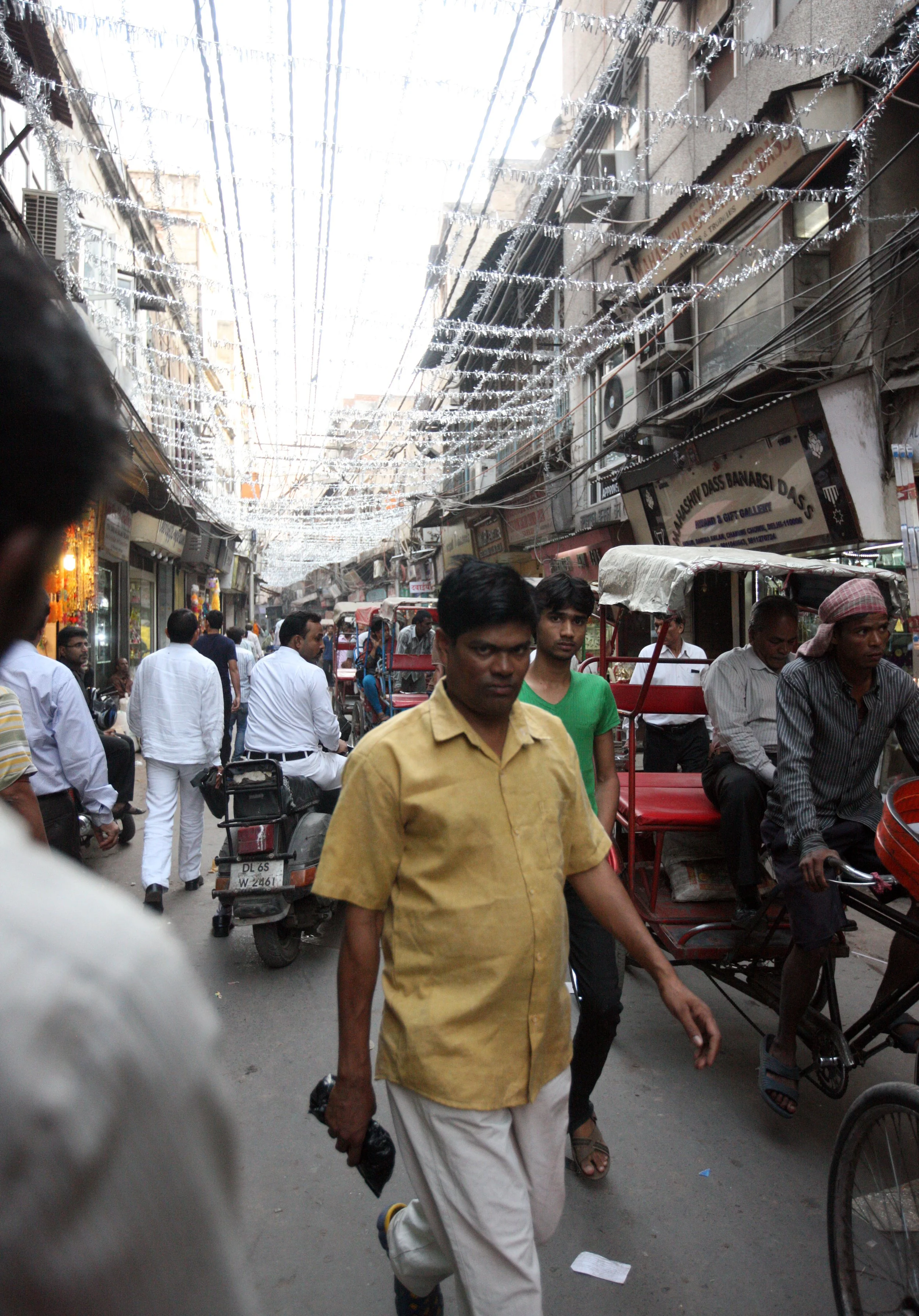 OLD DELHI INDIA - SNOW LEOPARD TRIP 2014 (64).JPG