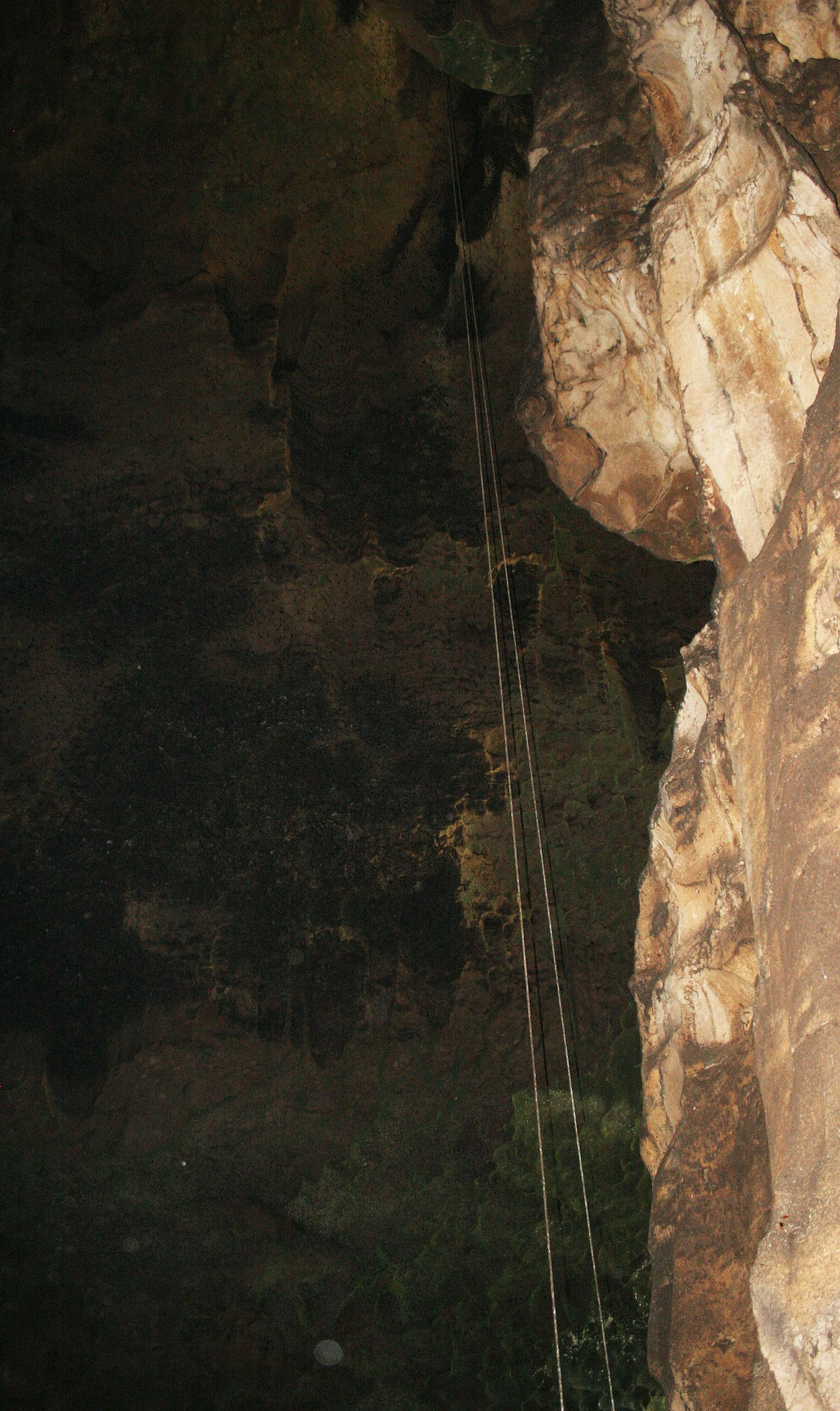GAMONTONG CAVES BORNEO (18).JPG