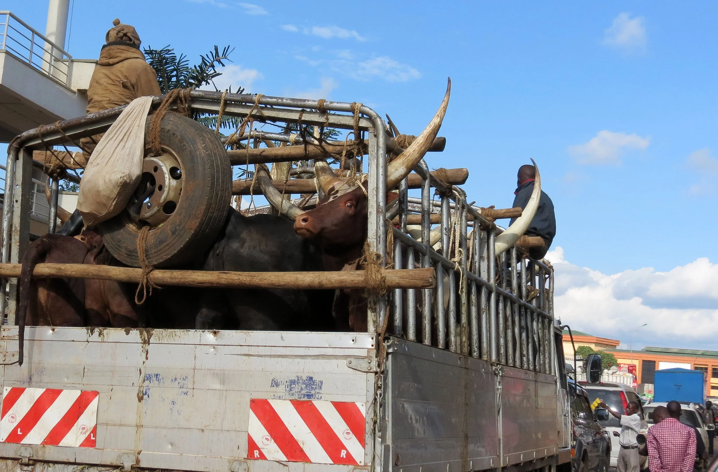 KAMPALA UGANDA (39).JPG