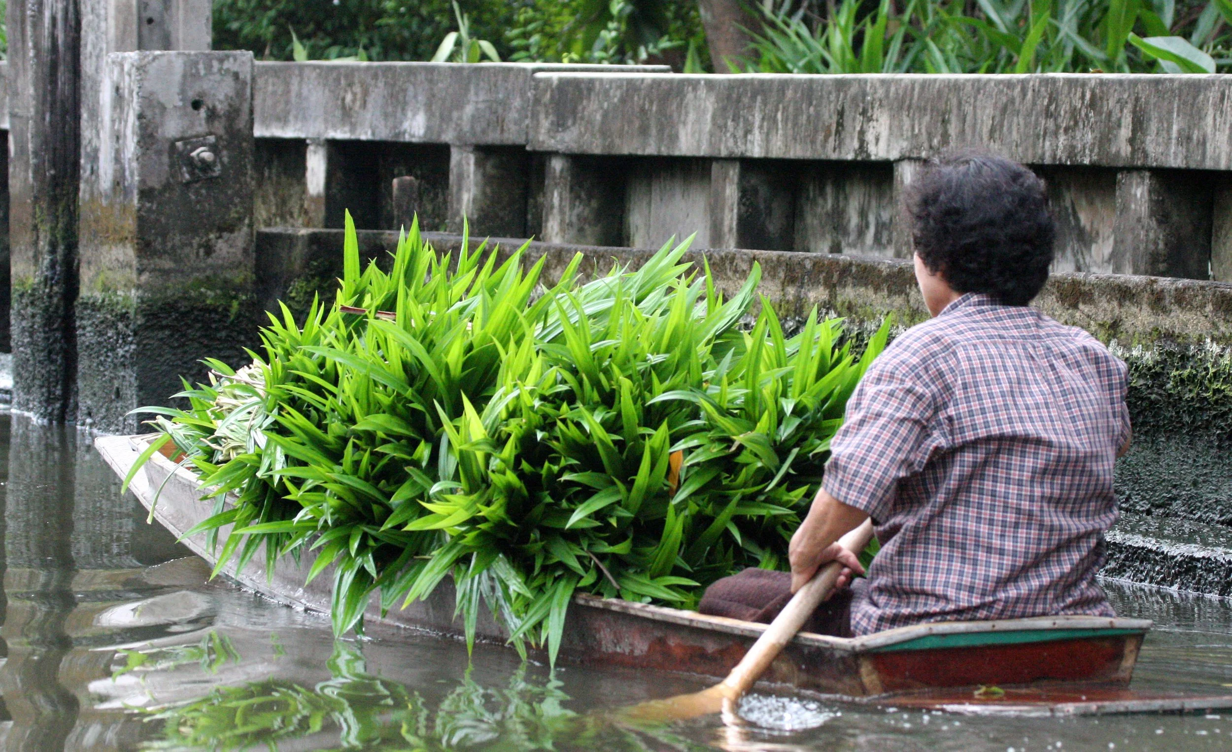 2008 Bangkok Scenes & Thonburi Canals (34).JPG