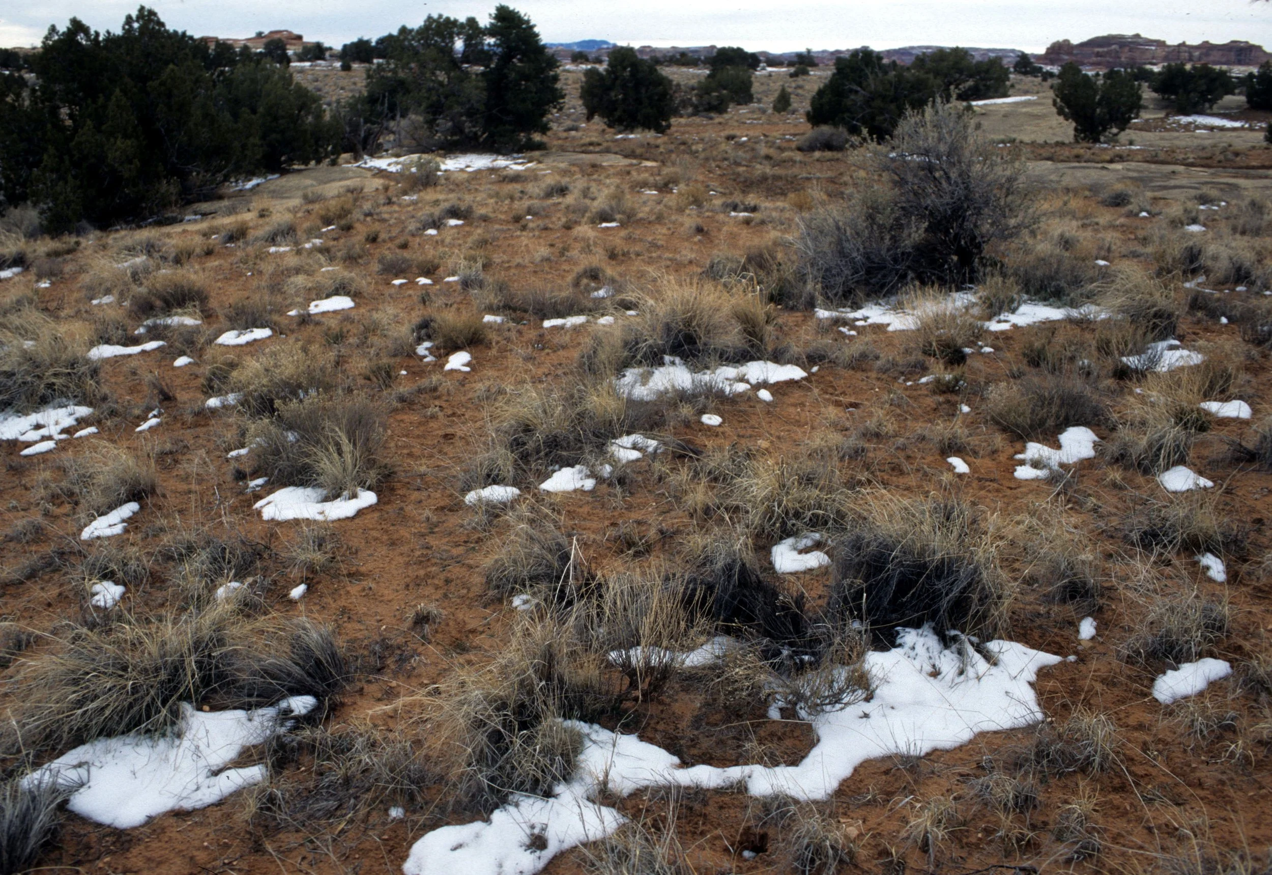 UTAH - CANYONLANDS NP MM.jpg