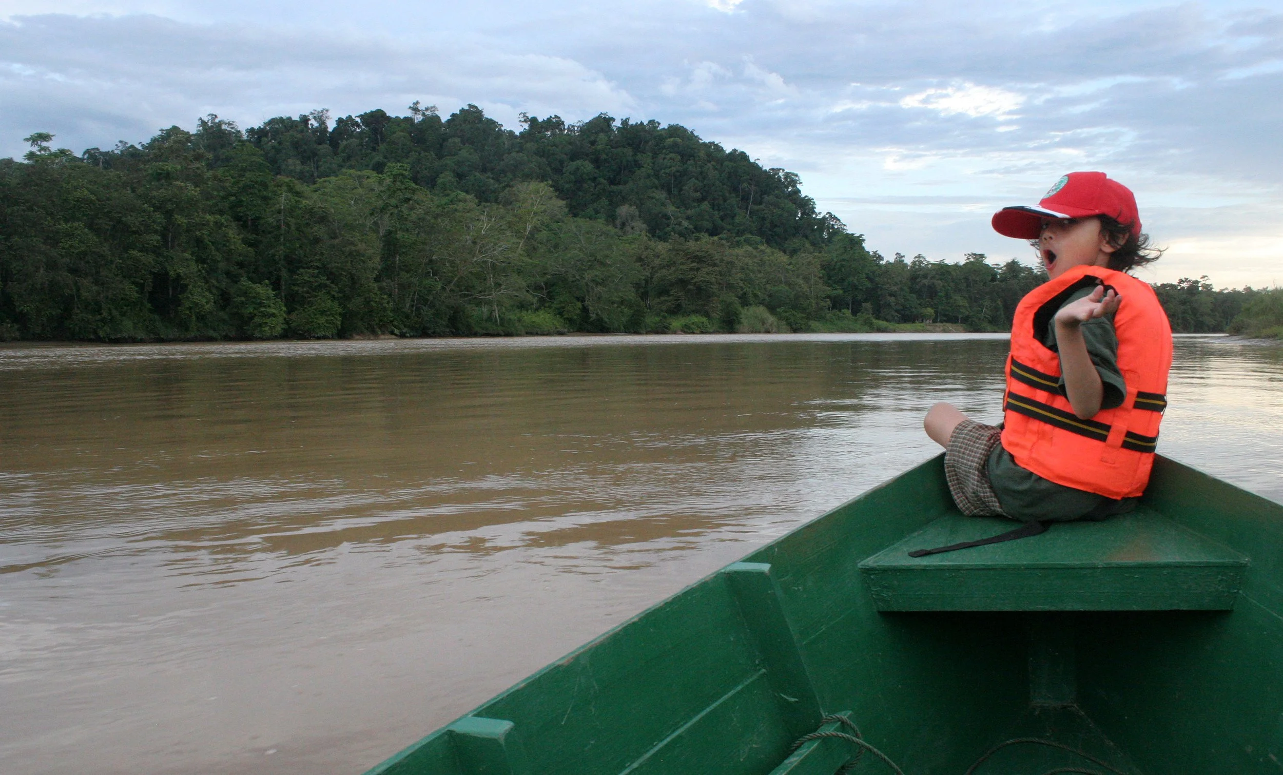 KINABATANGAN RIVER BORNEO - CRUISING THE RIVER (4).JPG