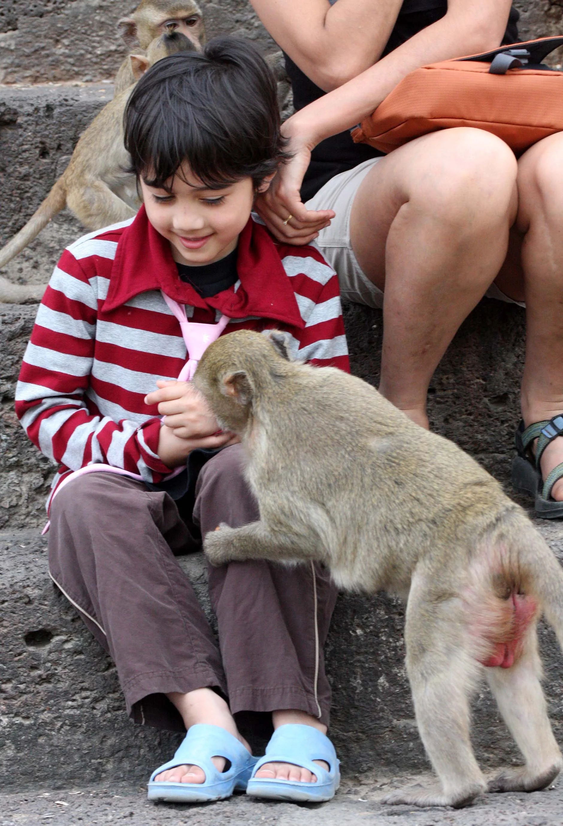 2008 Lopburi Road Trip with Macaques and Temples (28).JPG