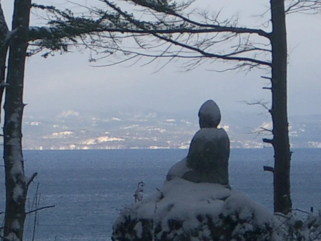 2004-1-3 LAKE FARM IN SNOW (3).JPG