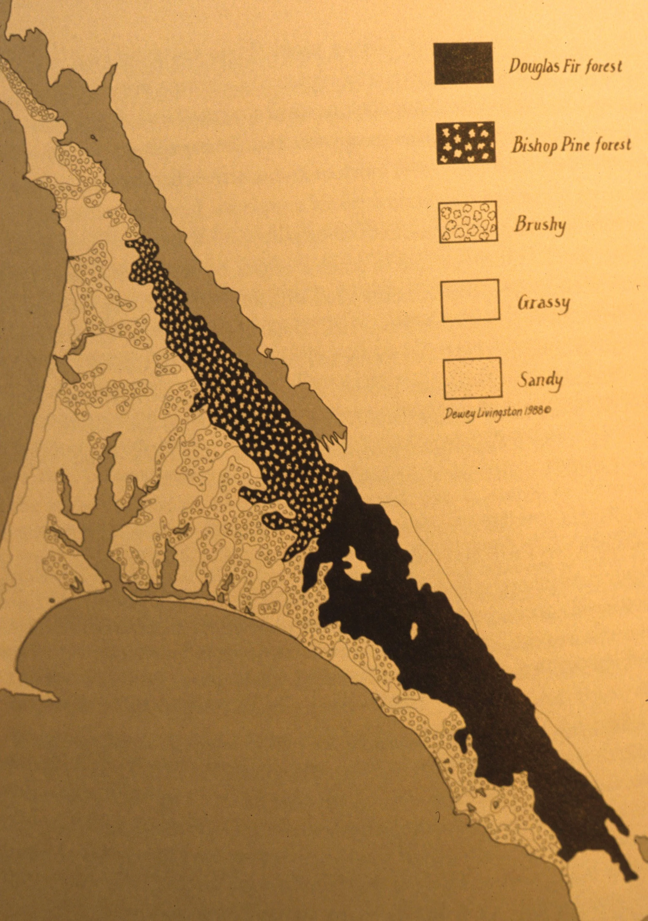 CALIFORNIA - POINT REYES - PLANT COMMUNITY DISTRIBUTION MAP B.jpg