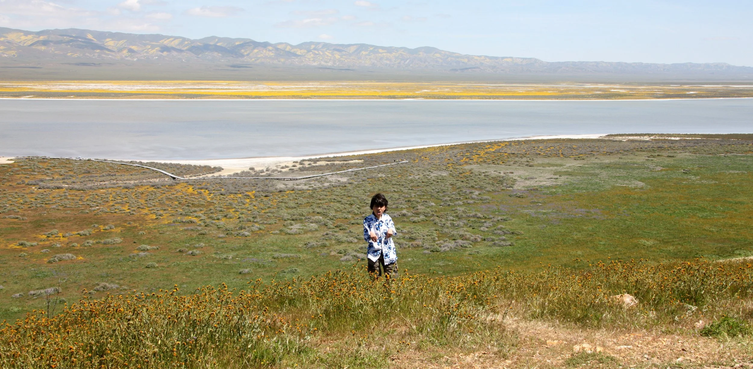 CARRIZO PLAIN NATIONAL MONUMENT - VIEWS OF THE REGION - ROADTRIP 2010 (46).JPG