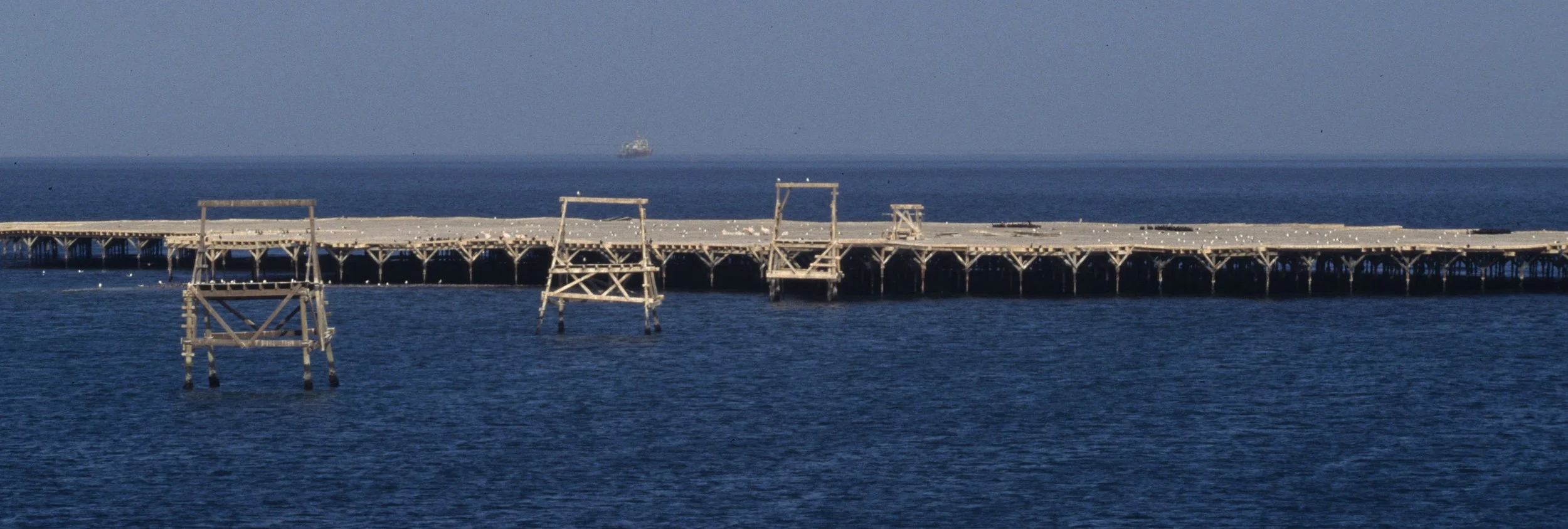 NAMIB COAST PIERS.jpg