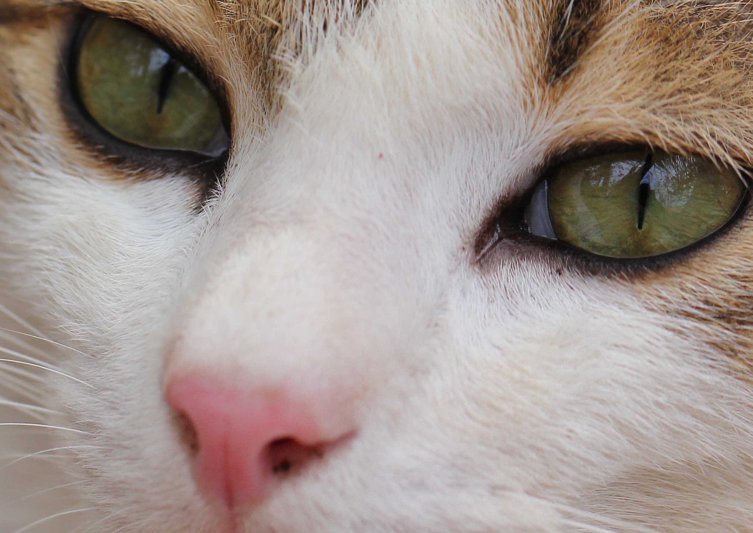 2015 Koh Lanta Songkran with friends from ISB (361).JPG