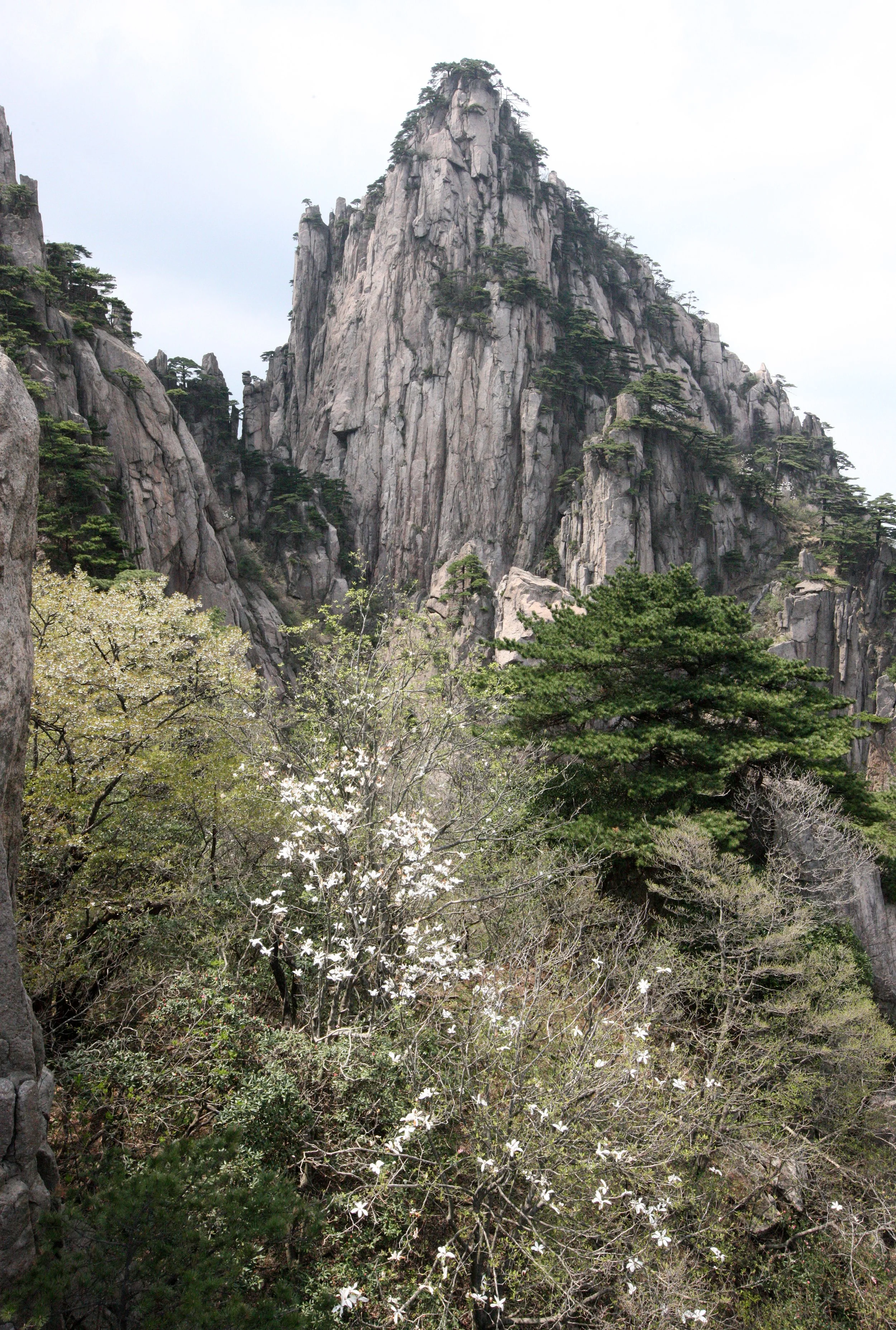 HUANGSHAN NATIONAL PARK ANHUI PROVINCE CHINA (64).JPG