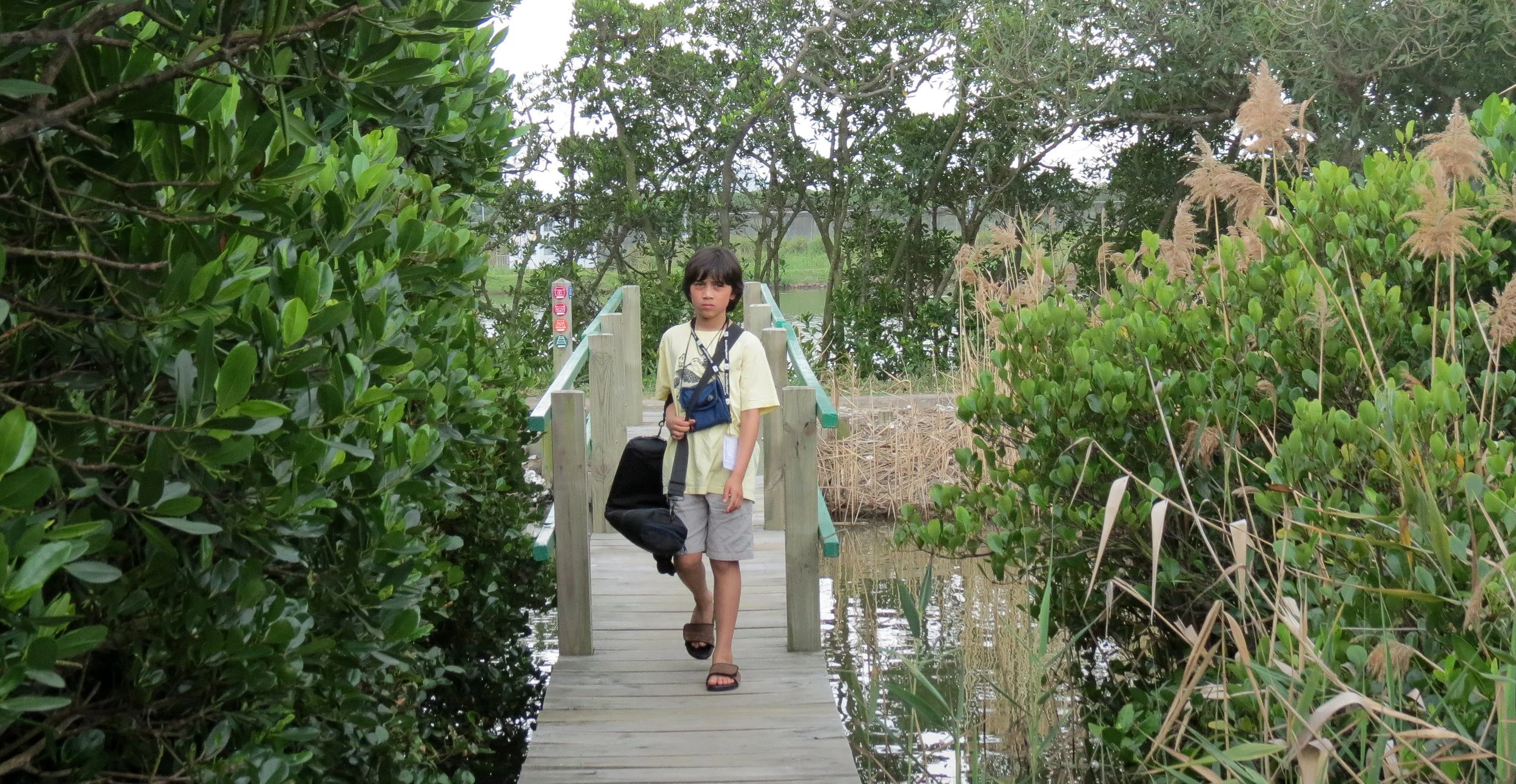MAI PO WETLANDS HONG KONG (46).JPG