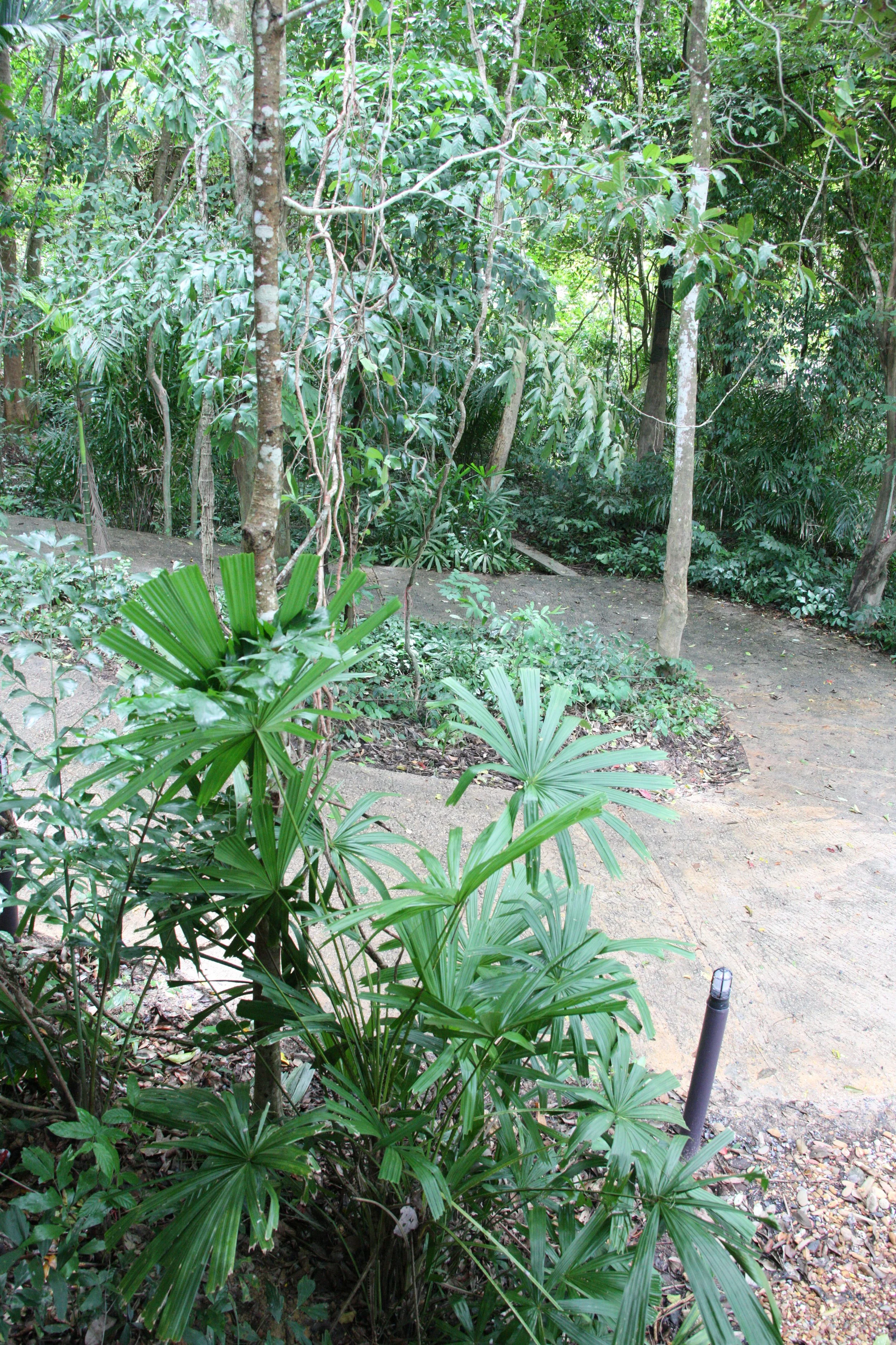 2016 Koh Lanta Landscapes, House Pictures and Family Fun (432).JPG