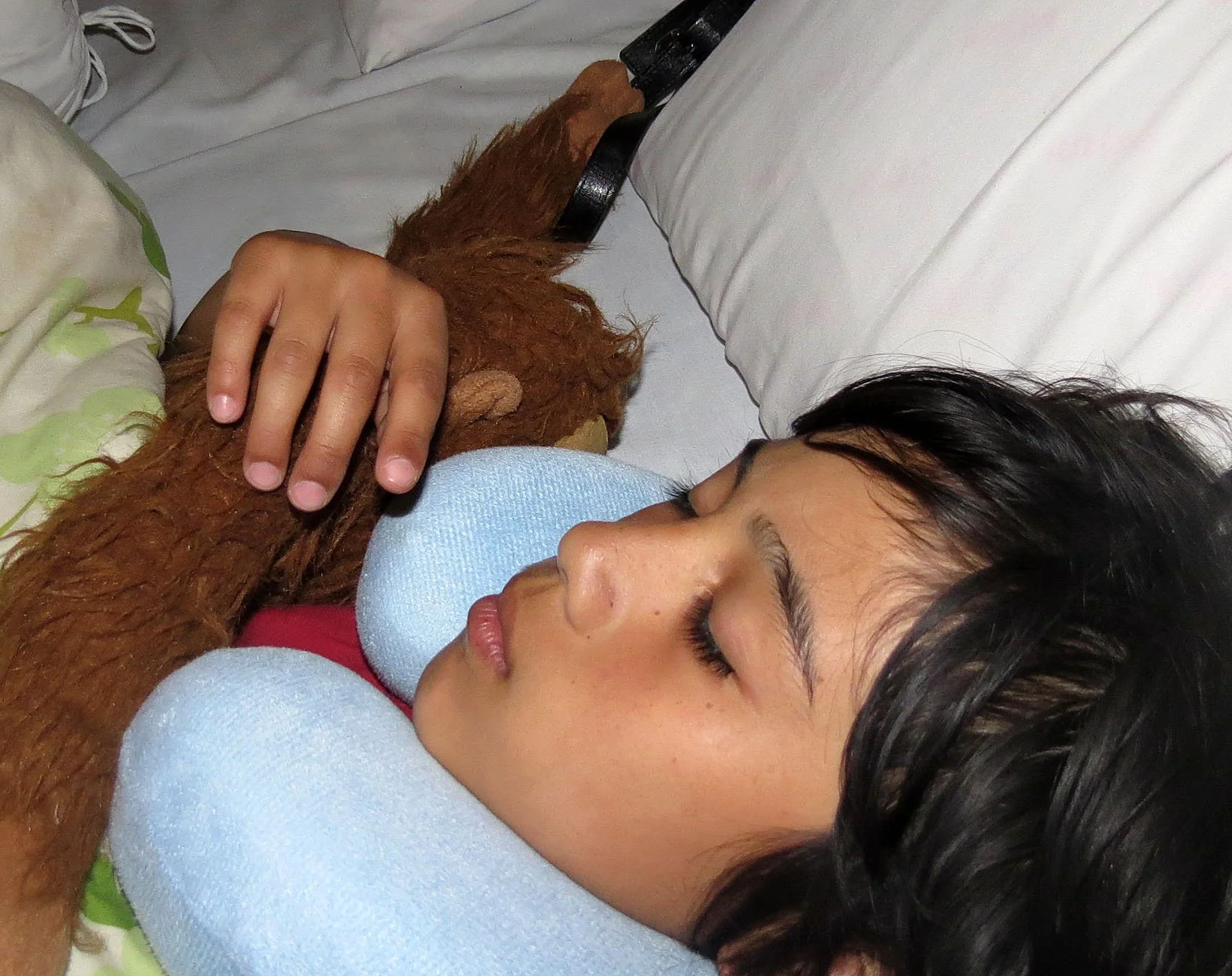 GEDE NATIONAL PARK - JAVA BARAT INDONESIA (55).JPG