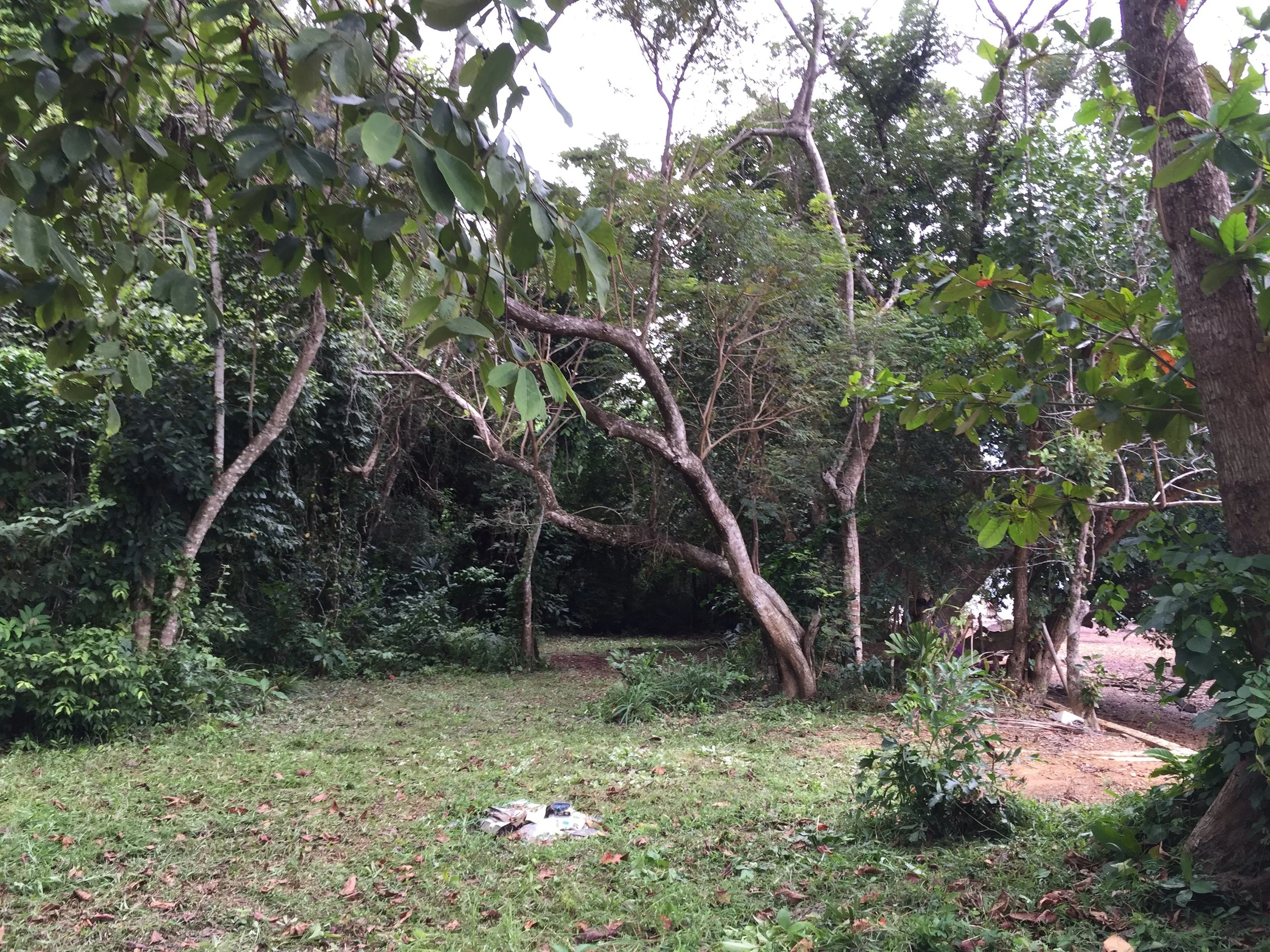 2015 Koh Lanta Garden & Nature (189).JPG