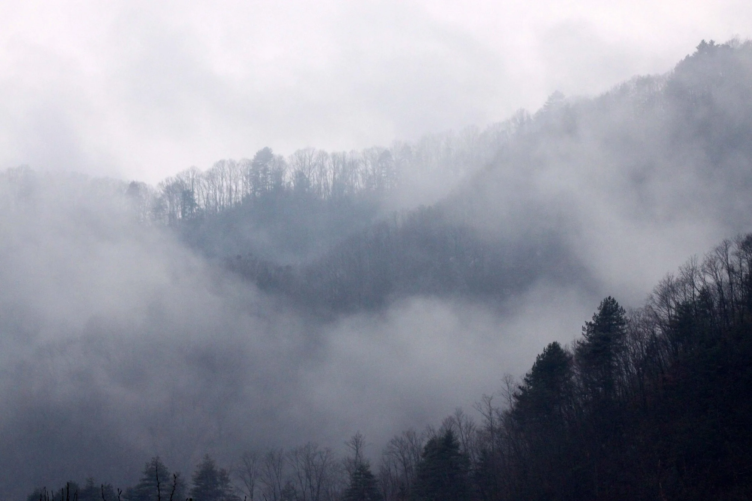 FOPING NATURE RESERVE SHAANXI PROVINCE CHINA (12).JPG