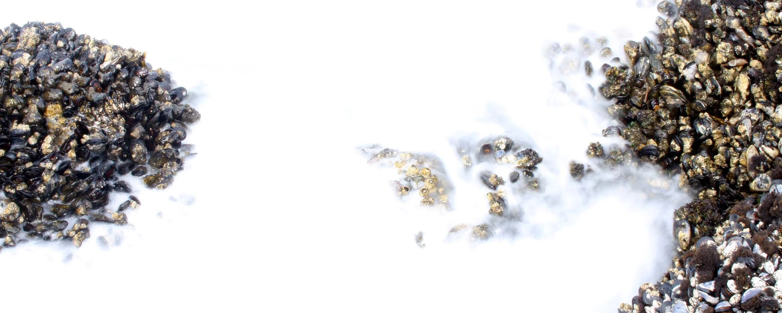 SALT CREEK - SPLASH ZONE.JPG