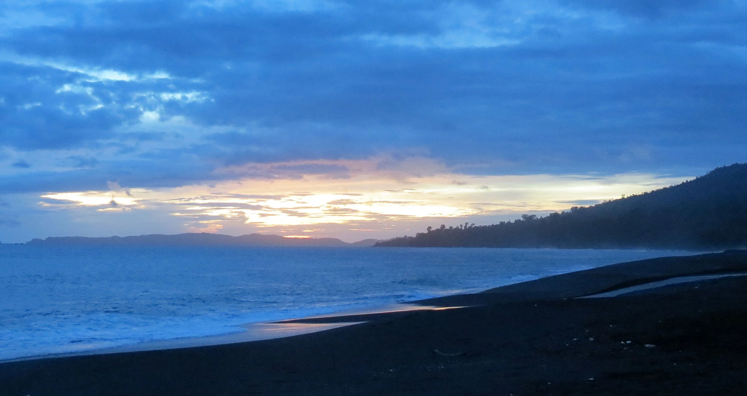 TANGKOKO NATIONAL PARK, SULAWESI INDONESIA  (2).JPG