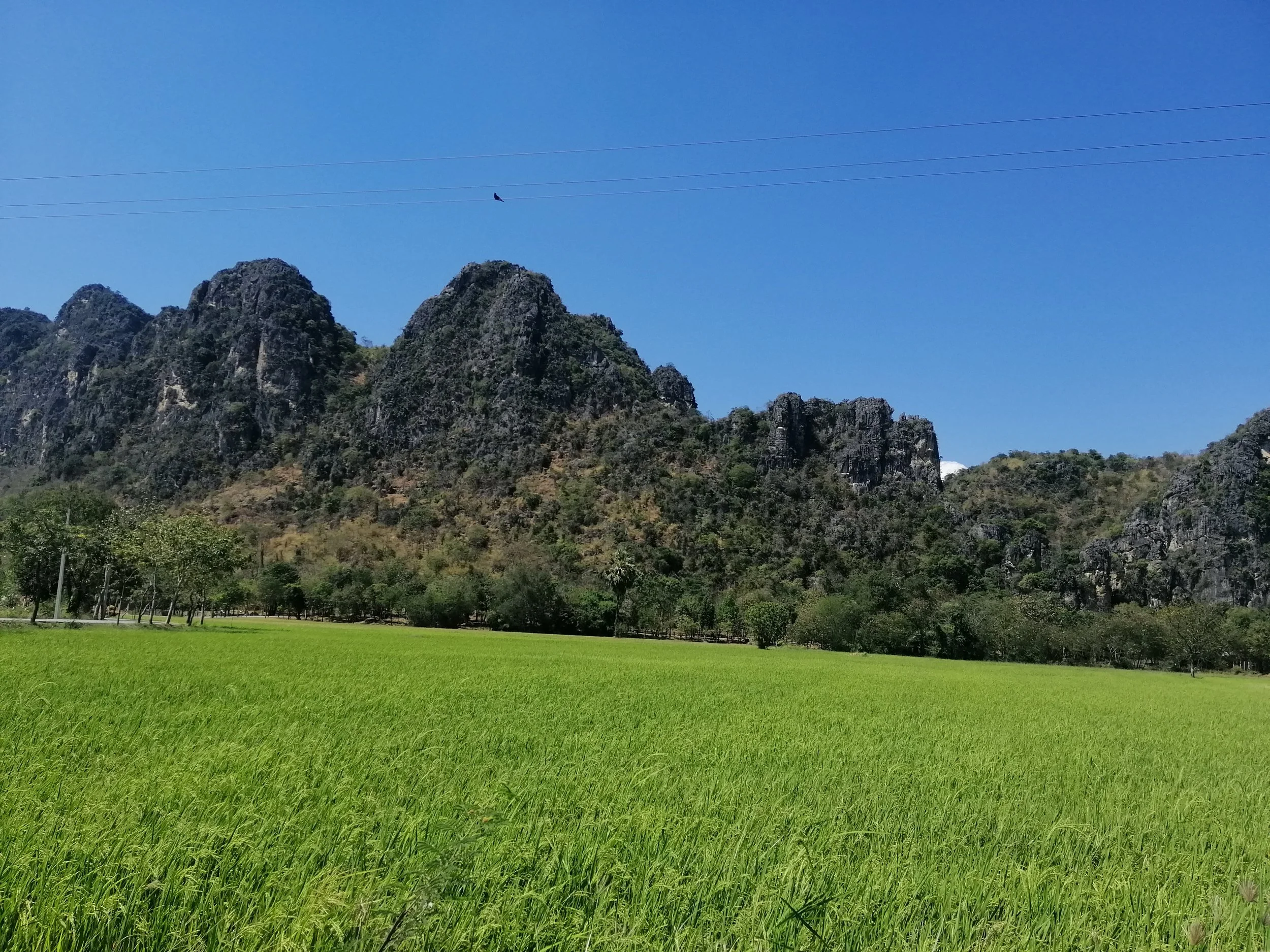 2019 Petchaburi & Cha'am Trip with Cokie & Gift (14).jpg