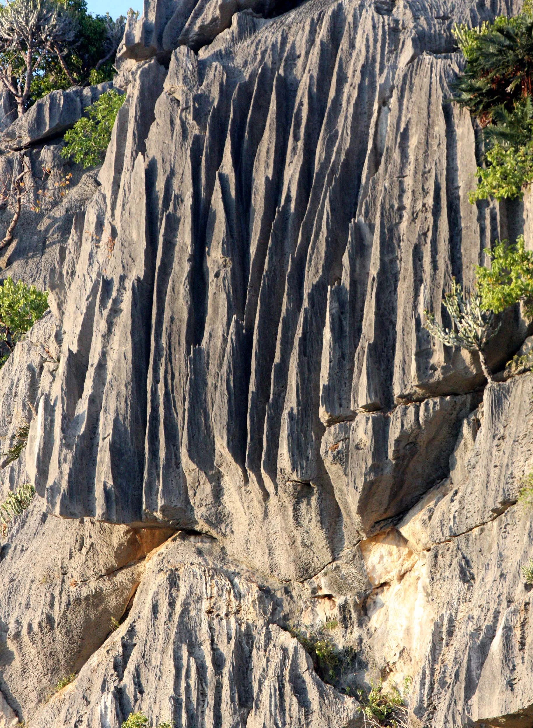 KHAO SAM ROI YOT THAILAND - 2009 (9).JPG