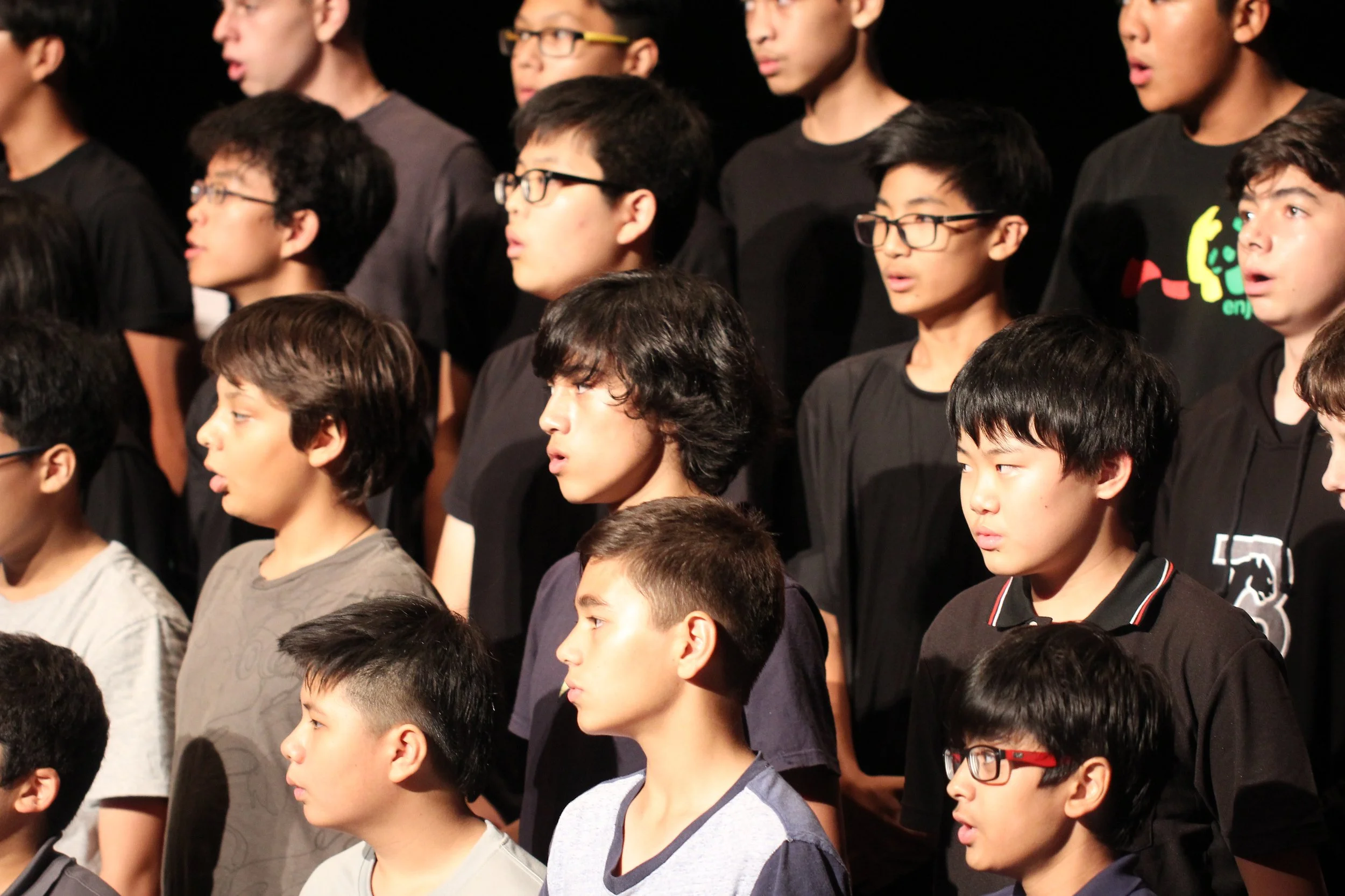 2015 Spring Concert for Cokie at ISB (28).JPG