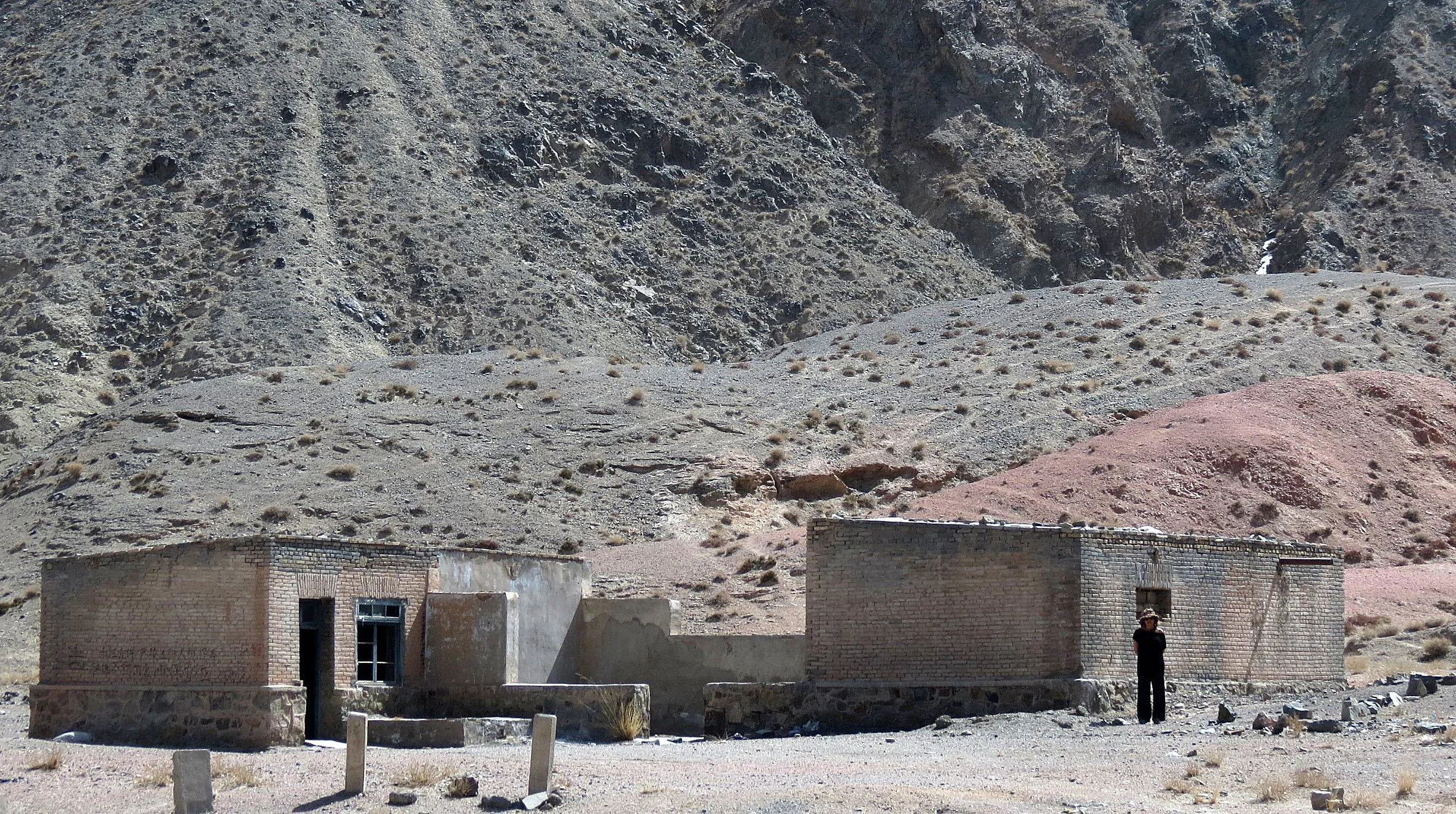 LOP NUR WILD BACTRIAN CAMEL RESERVE - XINJIANG CHINA (54).JPG