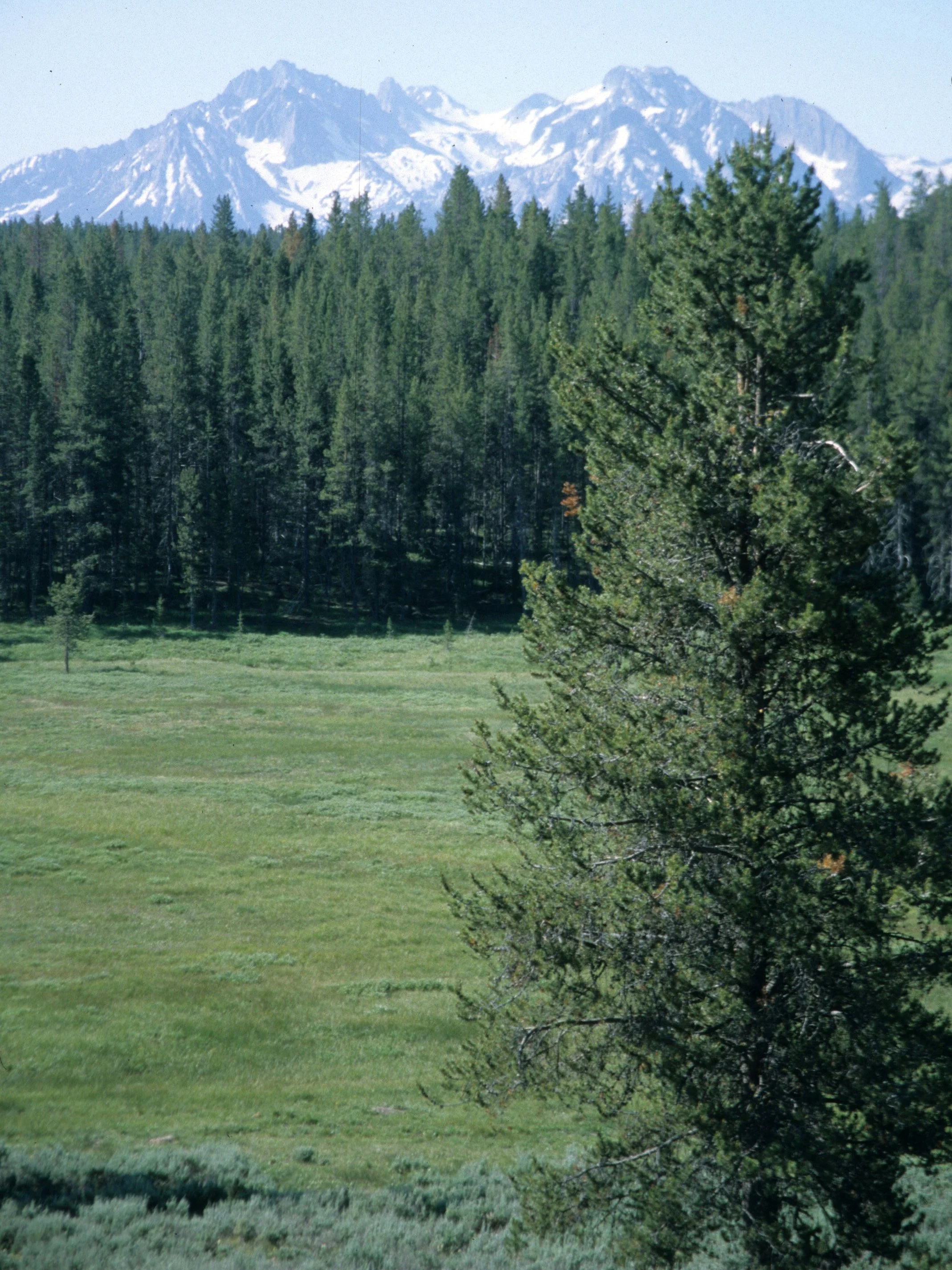IDAHO - SAWTOOTH MOUNTAINS B.jpg