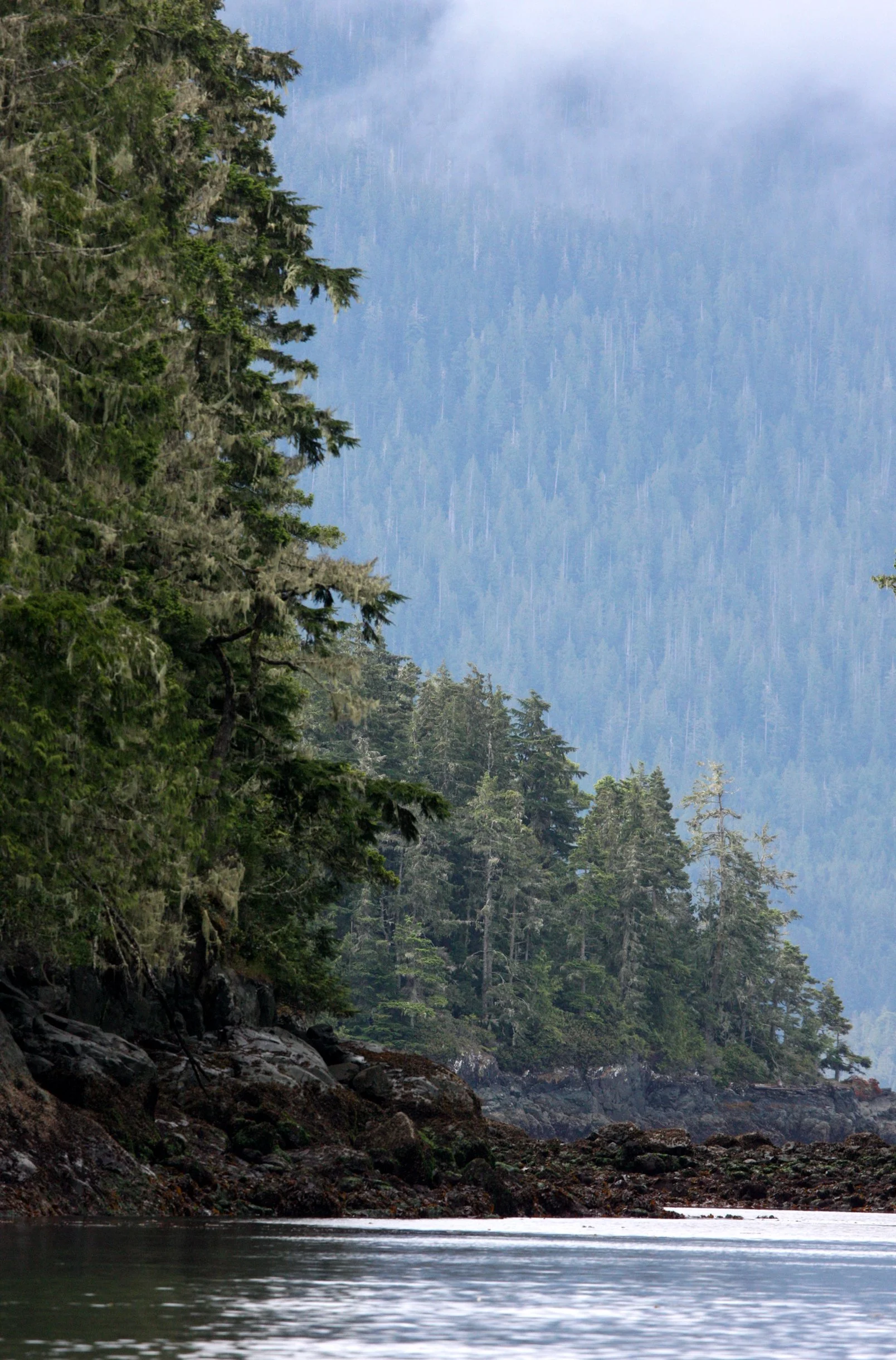 KNIGHT'S INLET BRITISH COLUMBIA (11).JPG