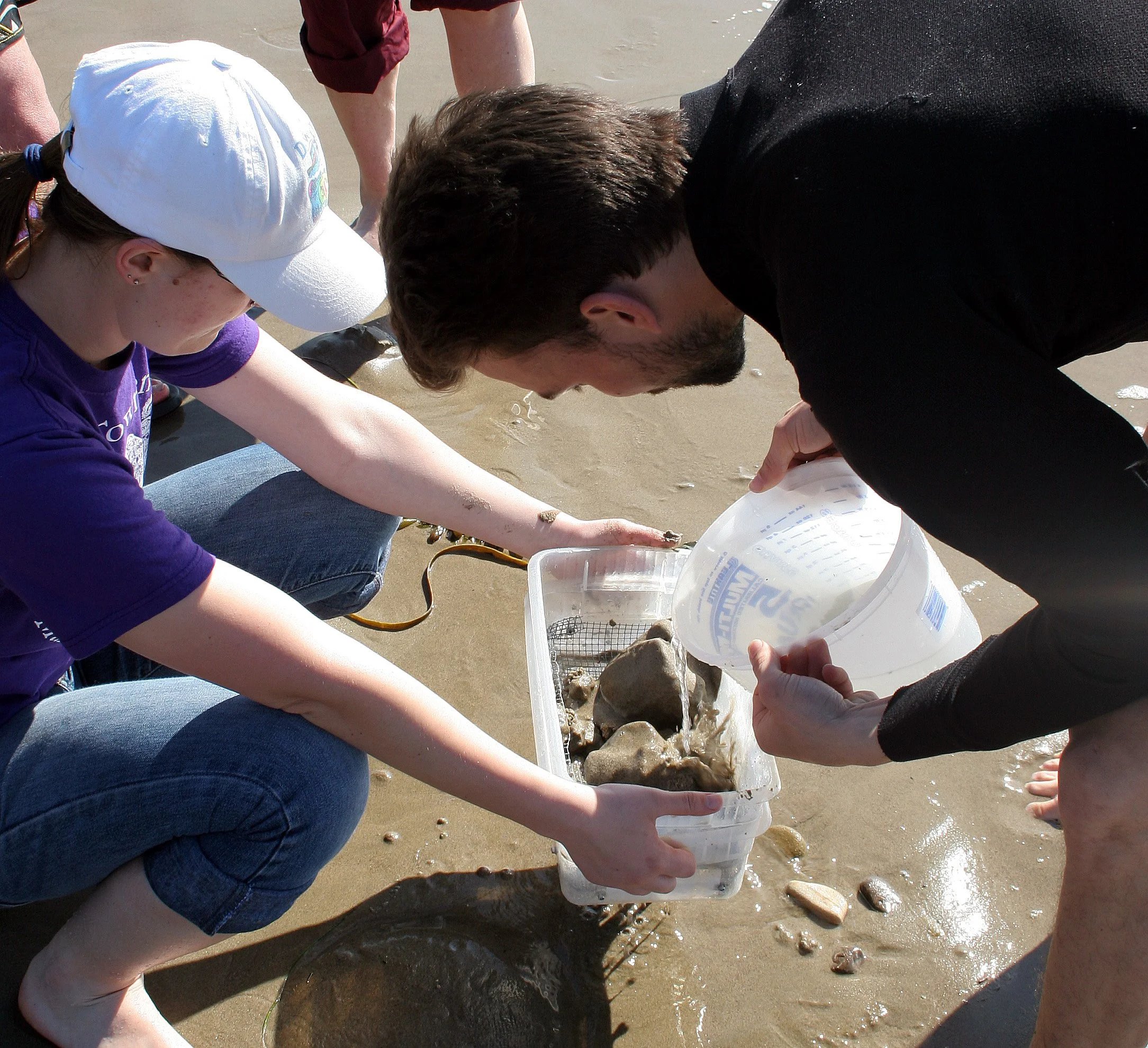 CALIFORNIA - CHANNEL ISLANDS NP - LIMPETS RESEARCH METHODS (4).jpg