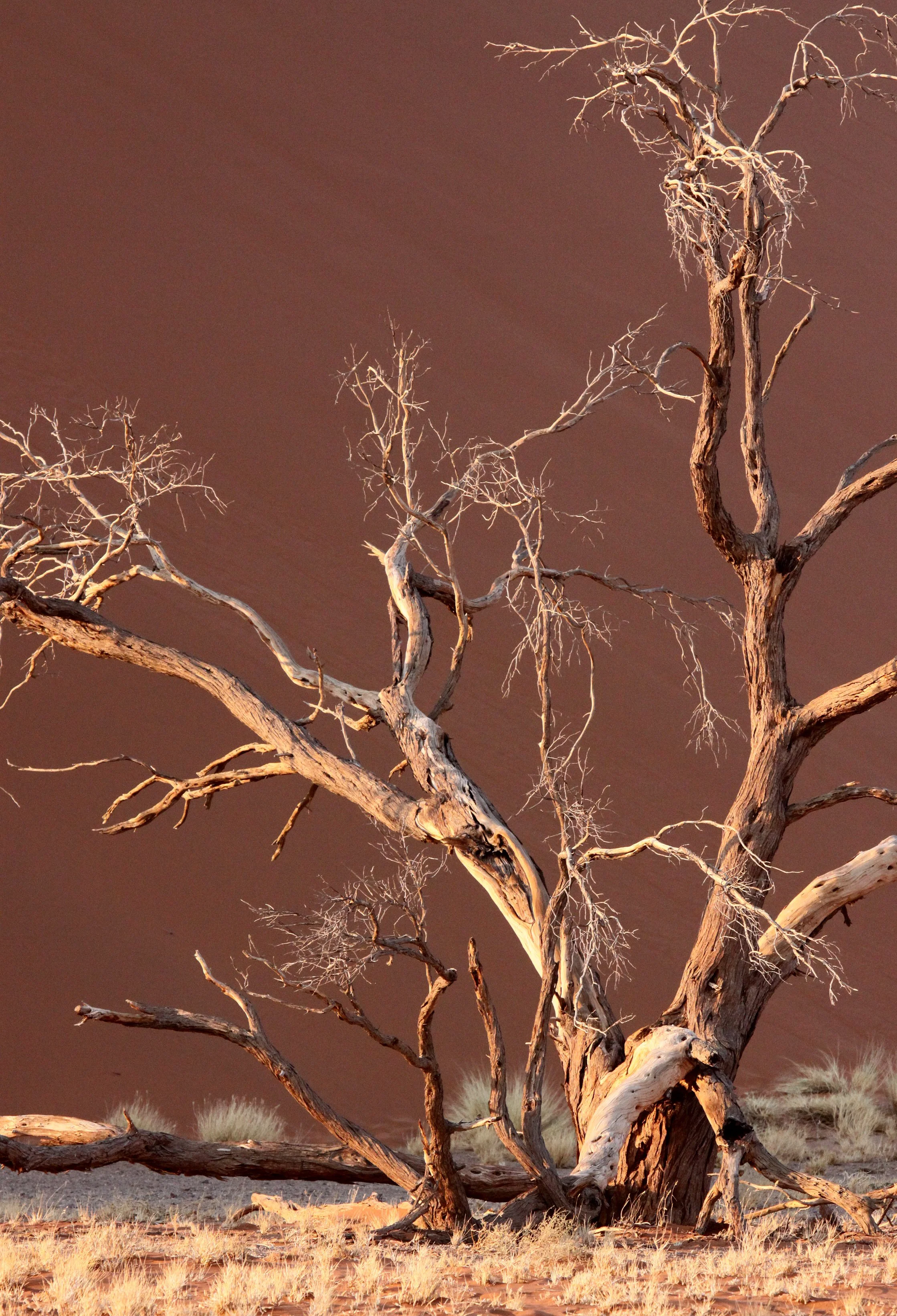 SOSSUSVLEI, NAMIB NAUKLUFT NATIONAL PARK, NAMIBIA - SESREIM VIEWS (6).JPG