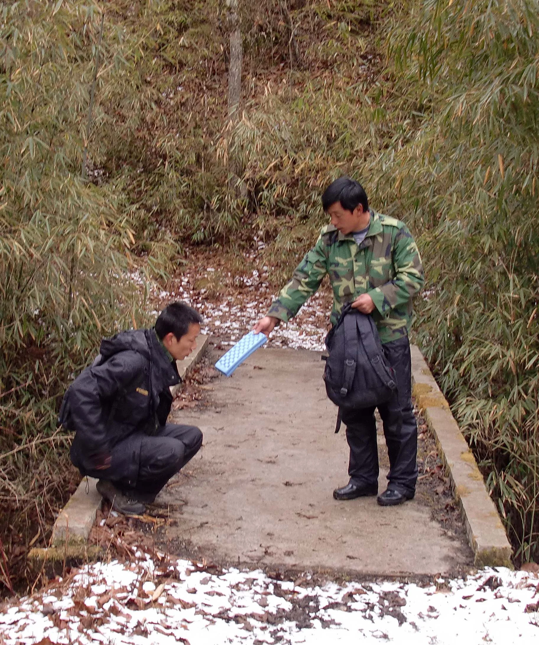 FOPING NATURE RESERVE - SHAANXI PROVINCE CHINA (39).JPG