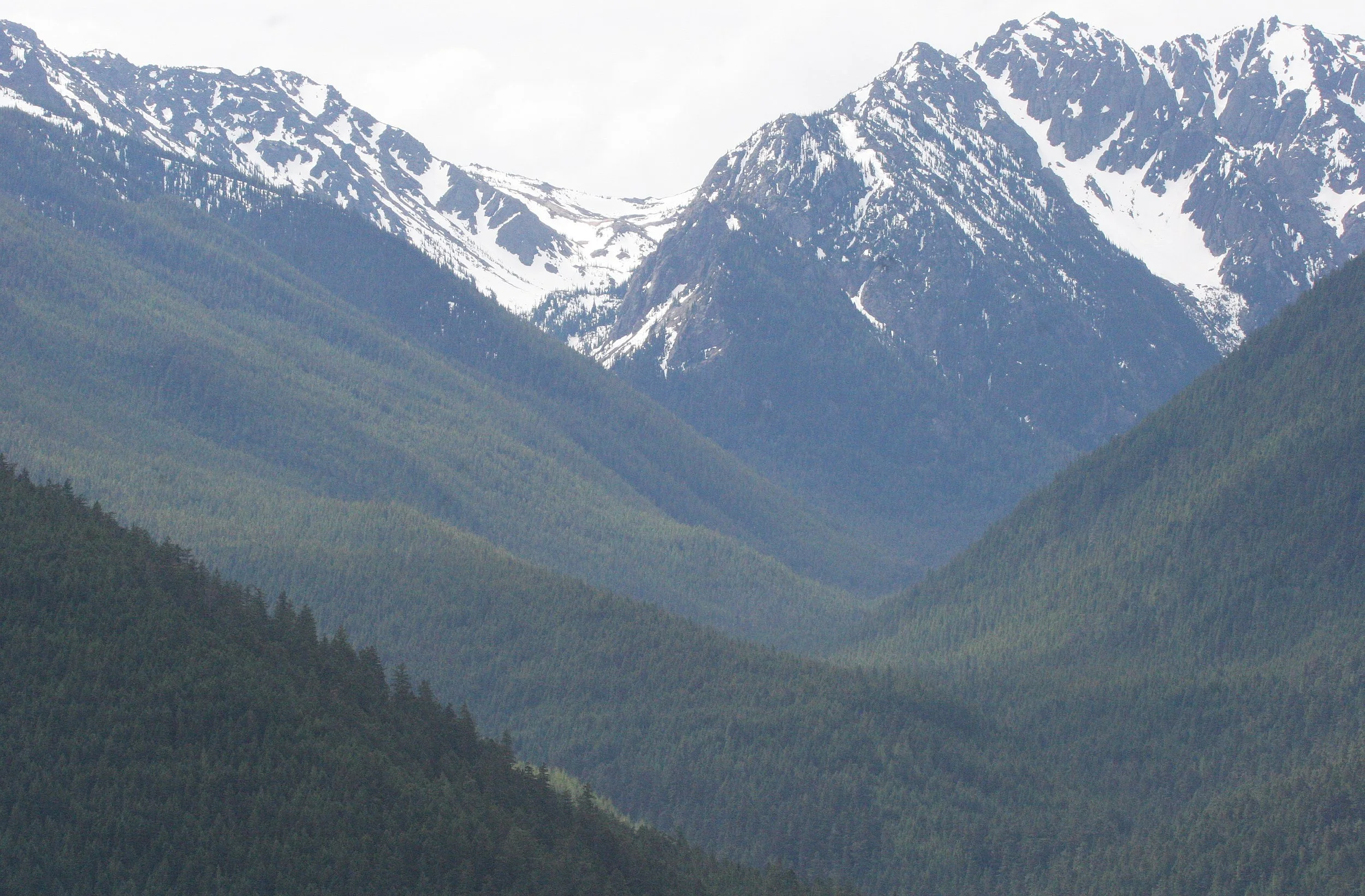 DUNGENESS RIVER WATERSHED - DUNGENESS TRAIL AND VIEWPOINTS (5).JPG