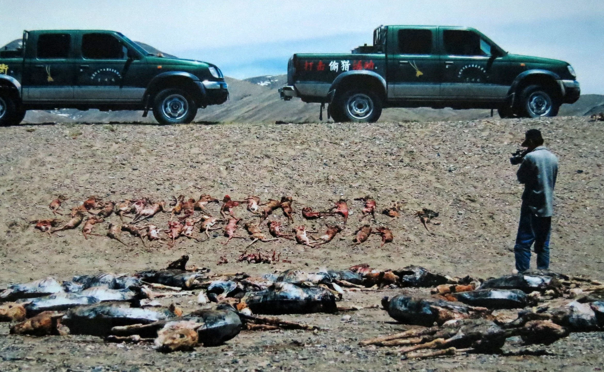 KEKEXILI NATIONAL NATURE RESERVE CHINA (1).JPG