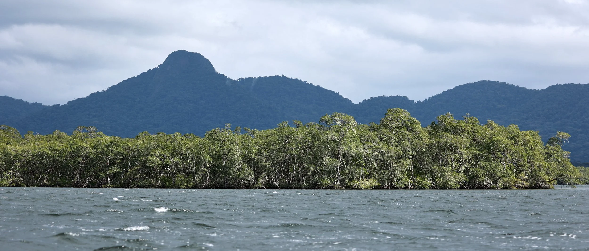 Superagüi National Park