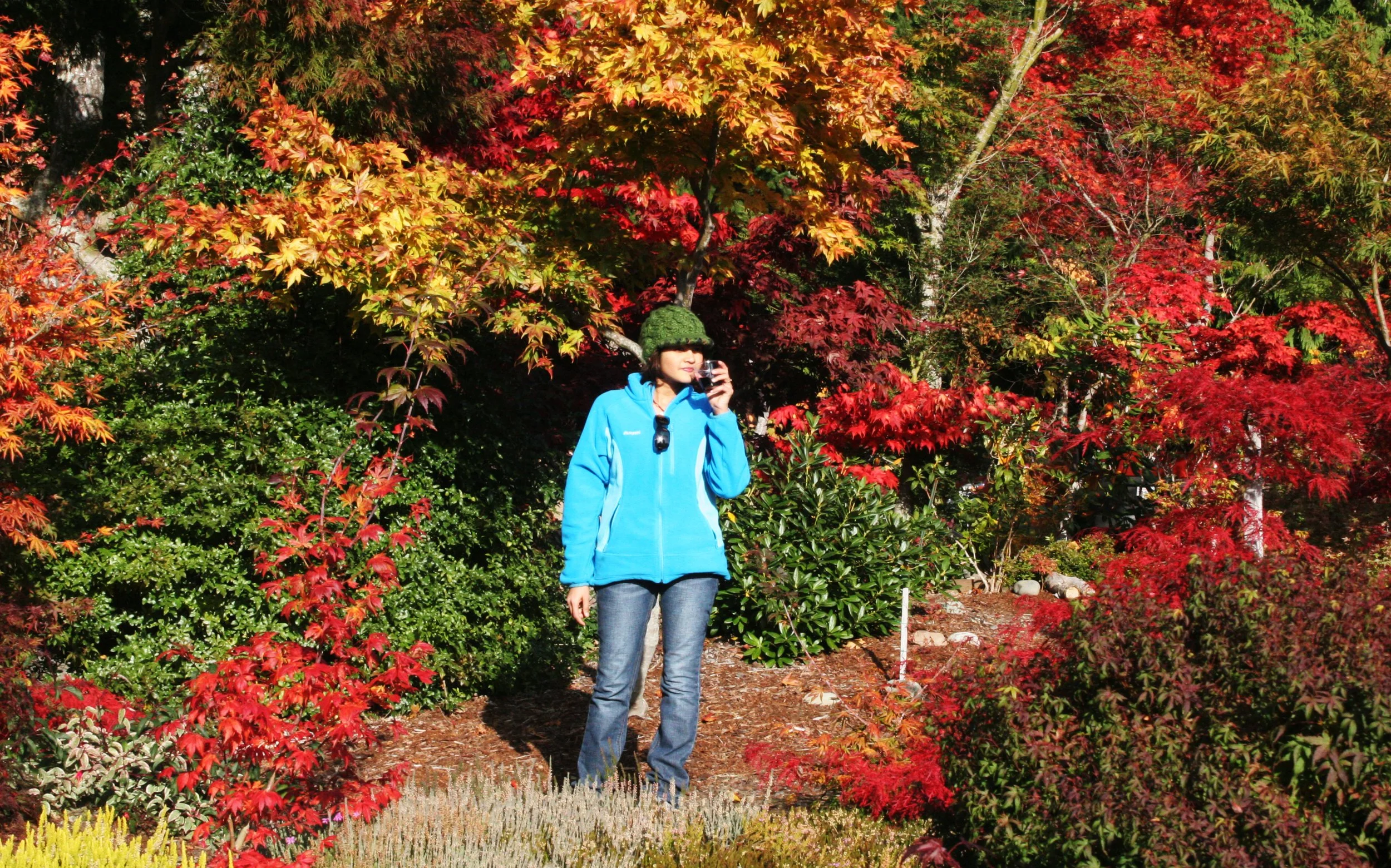 2008-10-26 MAPLE AND MERLOT - ELWHA RIVER VALLEY WA (16).JPG