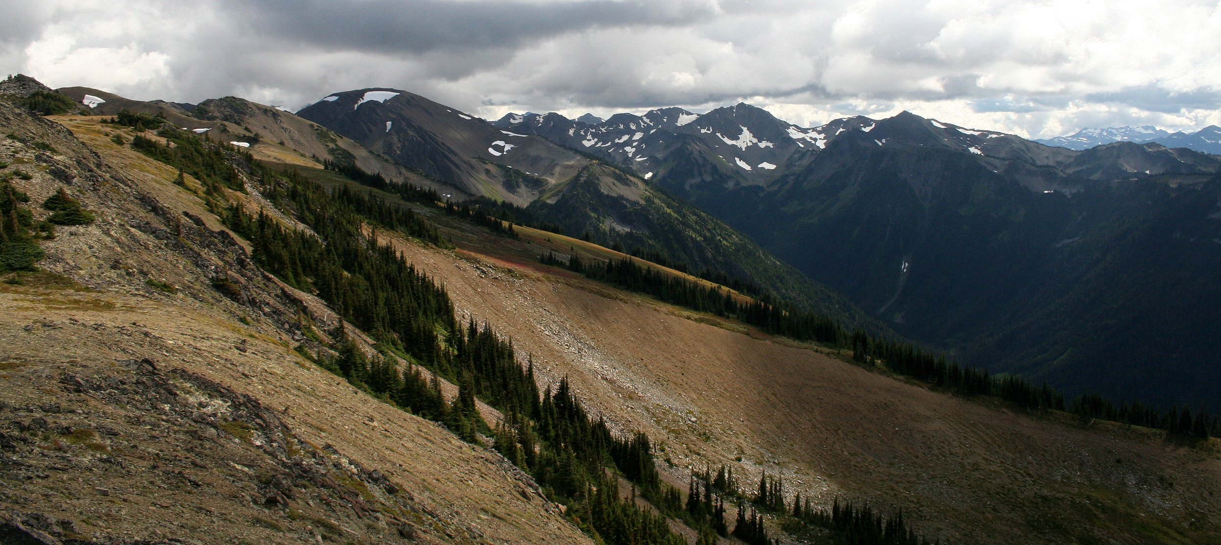 2008-9-1 DAY TRIP TO HURRICANE RIDGE (3).JPG