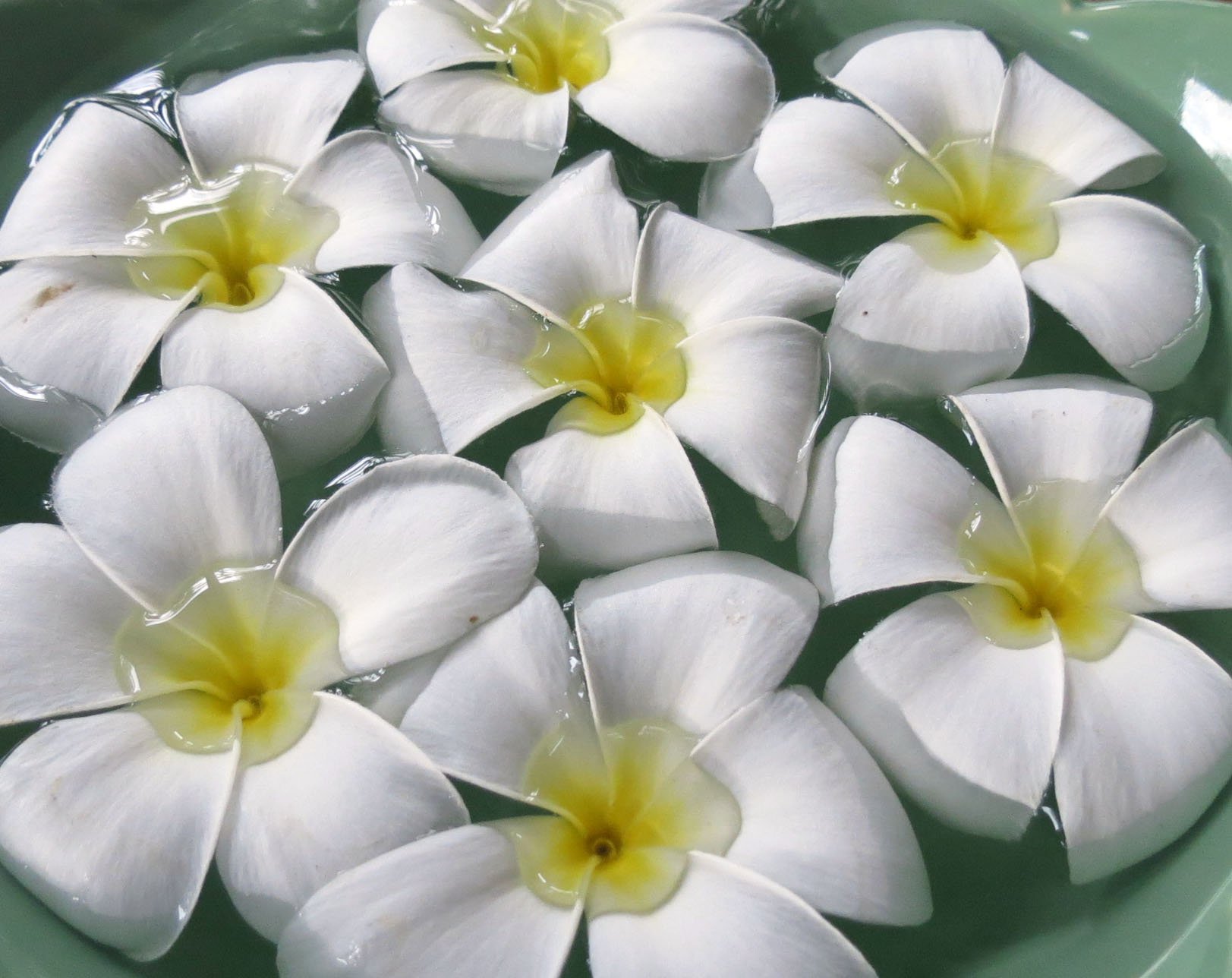 2013 Cha'am and Petchaburi with Family & Friends (81).JPG