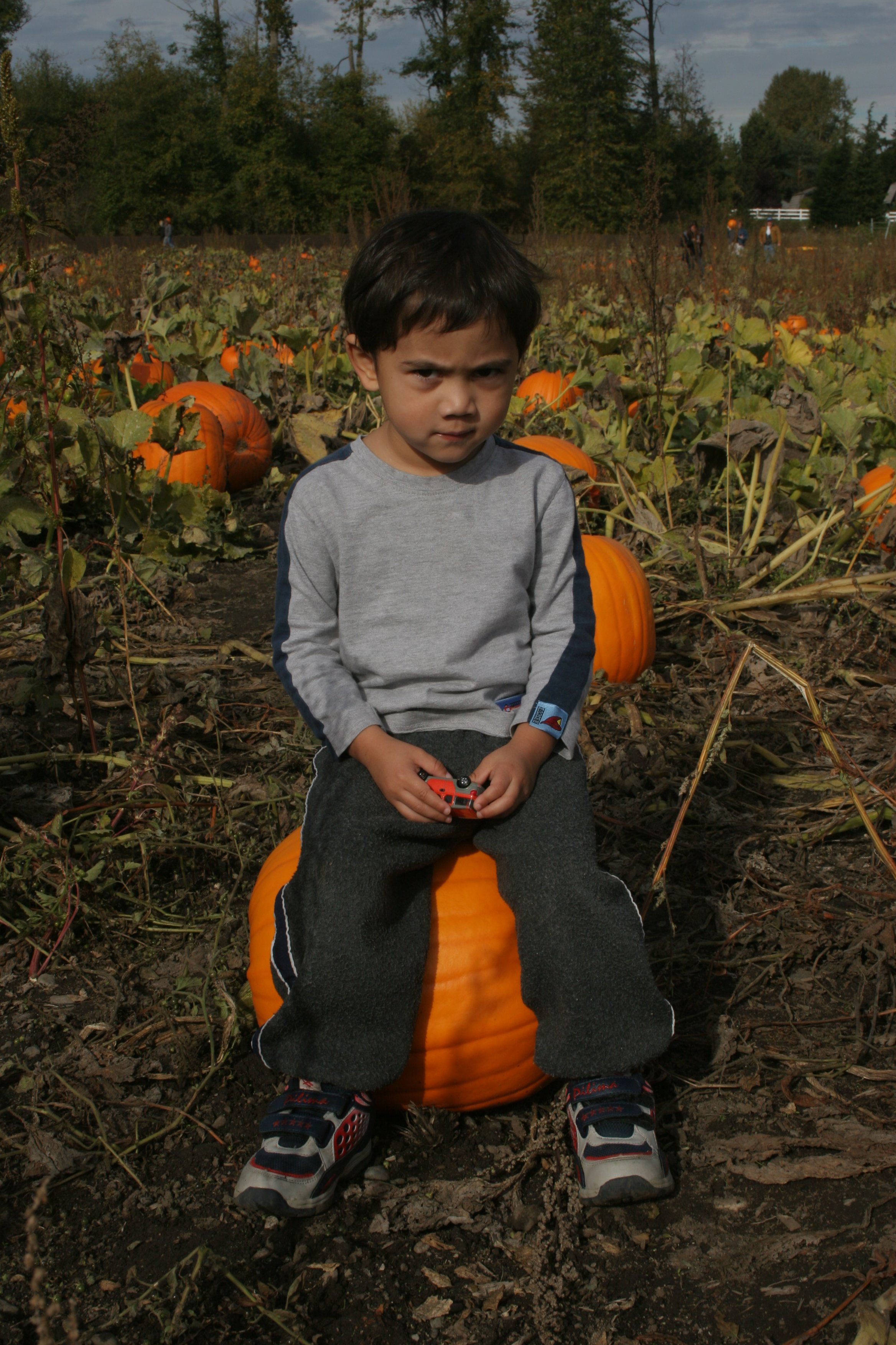 2005-10-9 PUMPKIN PATCH PORT ANGELES (3).JPG