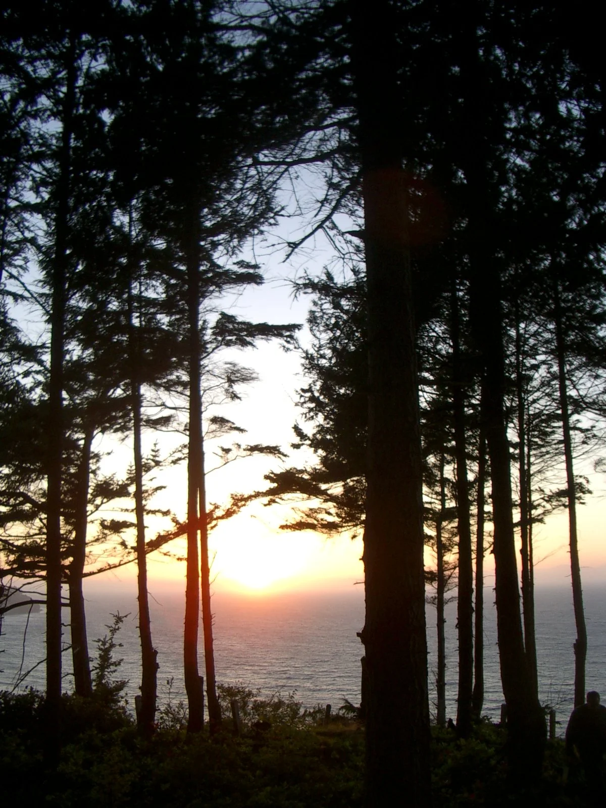 2003-7-31 FAMILY REUNION IN WASHINGTON AND CANADA (221).JPG