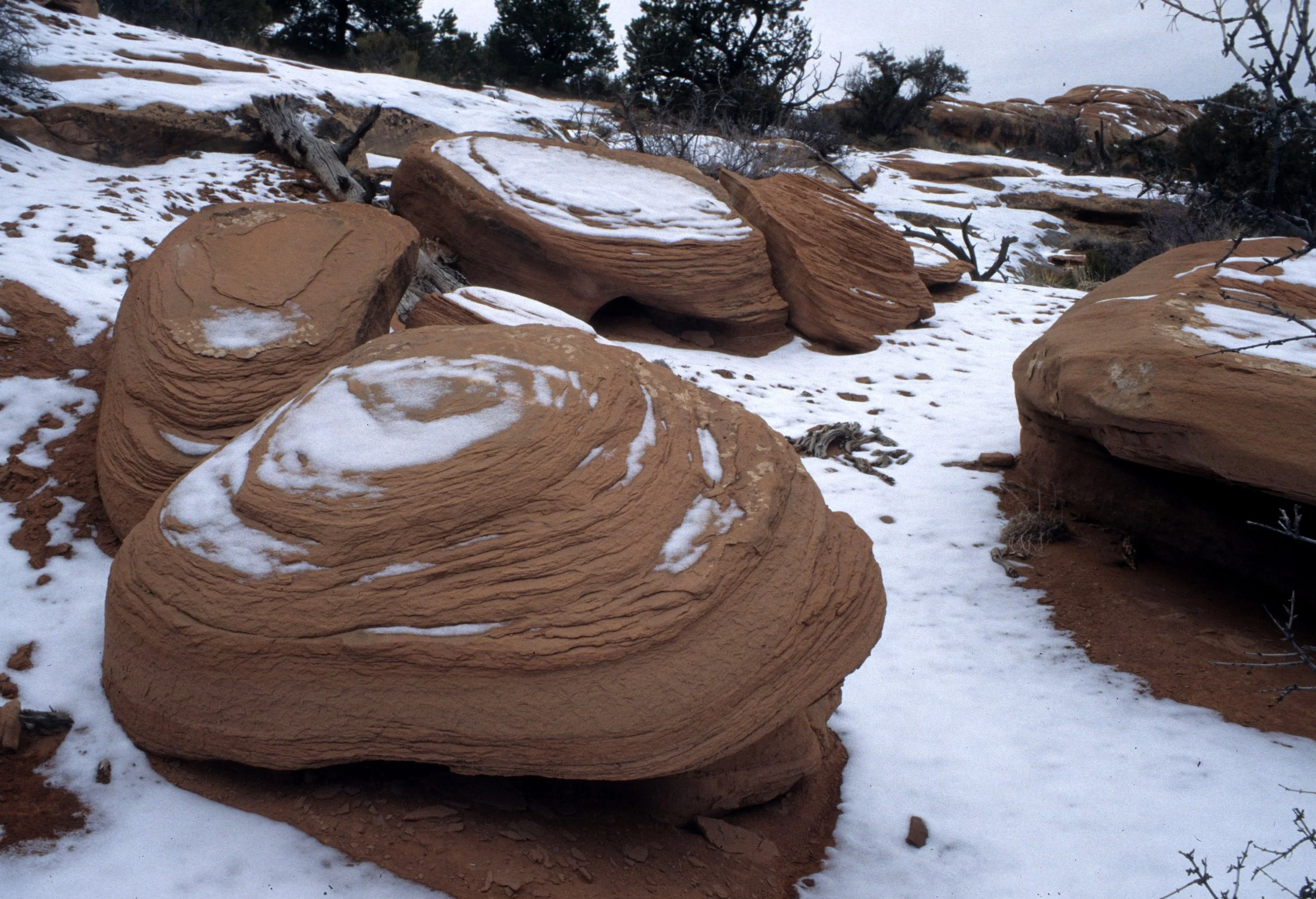 UTAH - ARCHES NP Q.jpg