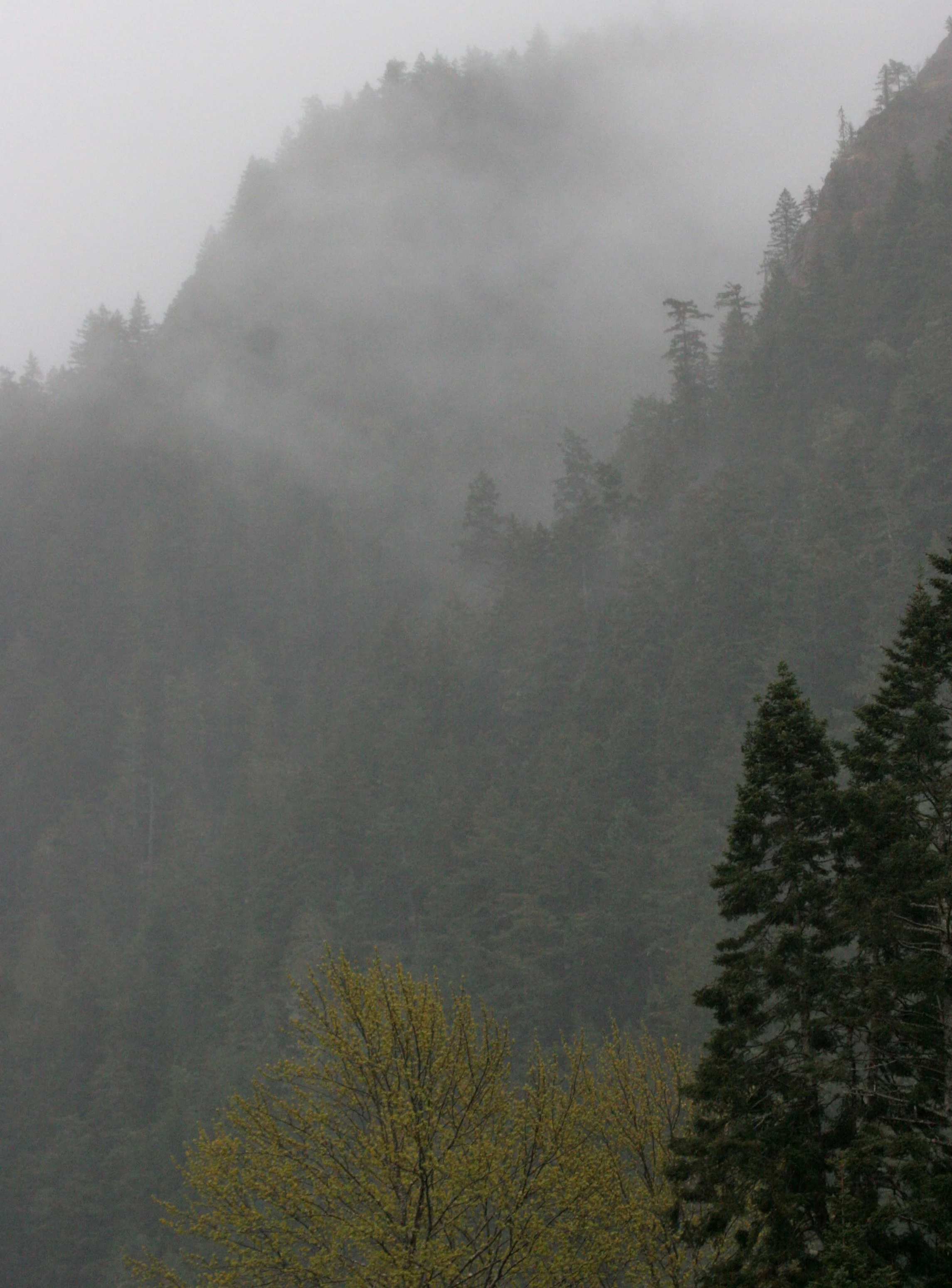CRESCENT LAKE FOG ON MOUNTAINS.JPG
