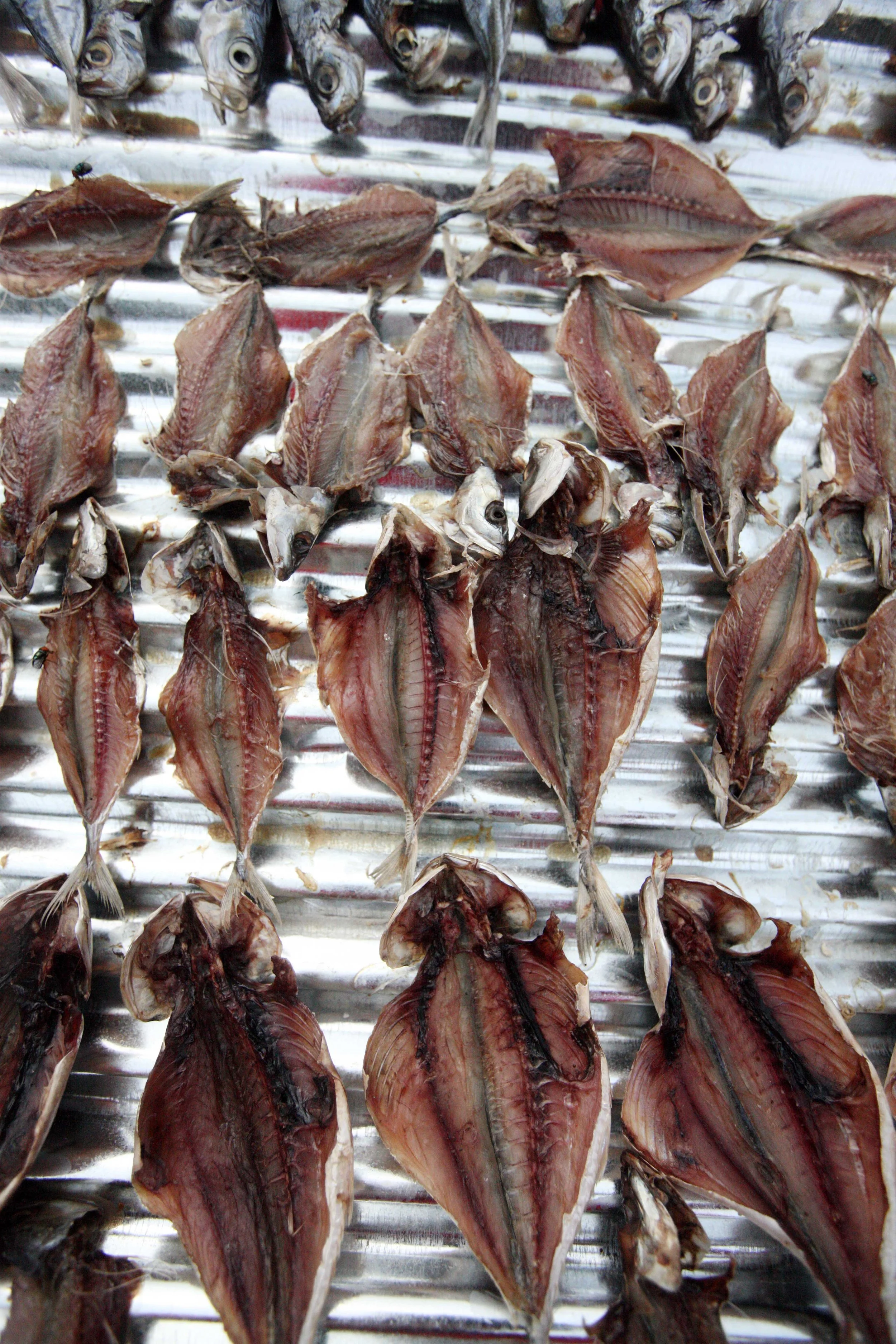 2015 Koh Lanta Songkran with friends from ISB (281).JPG