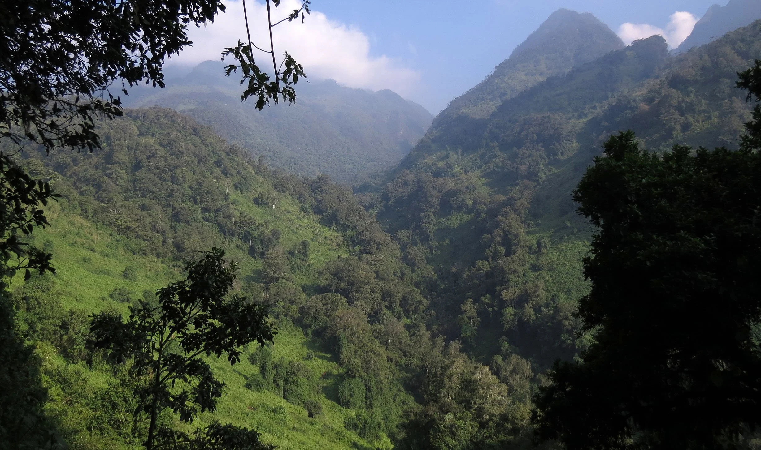 RWENZORI NATIONAL PARK UGANDA (81).JPG