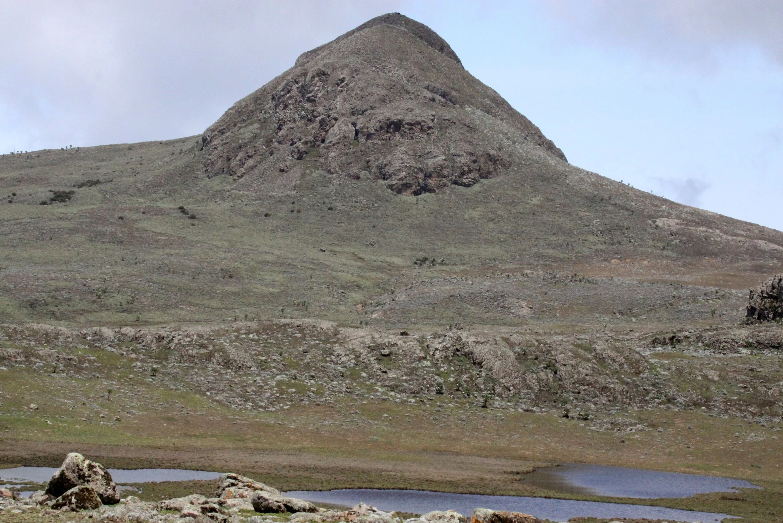 BALE MOUNTAINS NATIONAL PARK ETHIOPIA (65).JPG