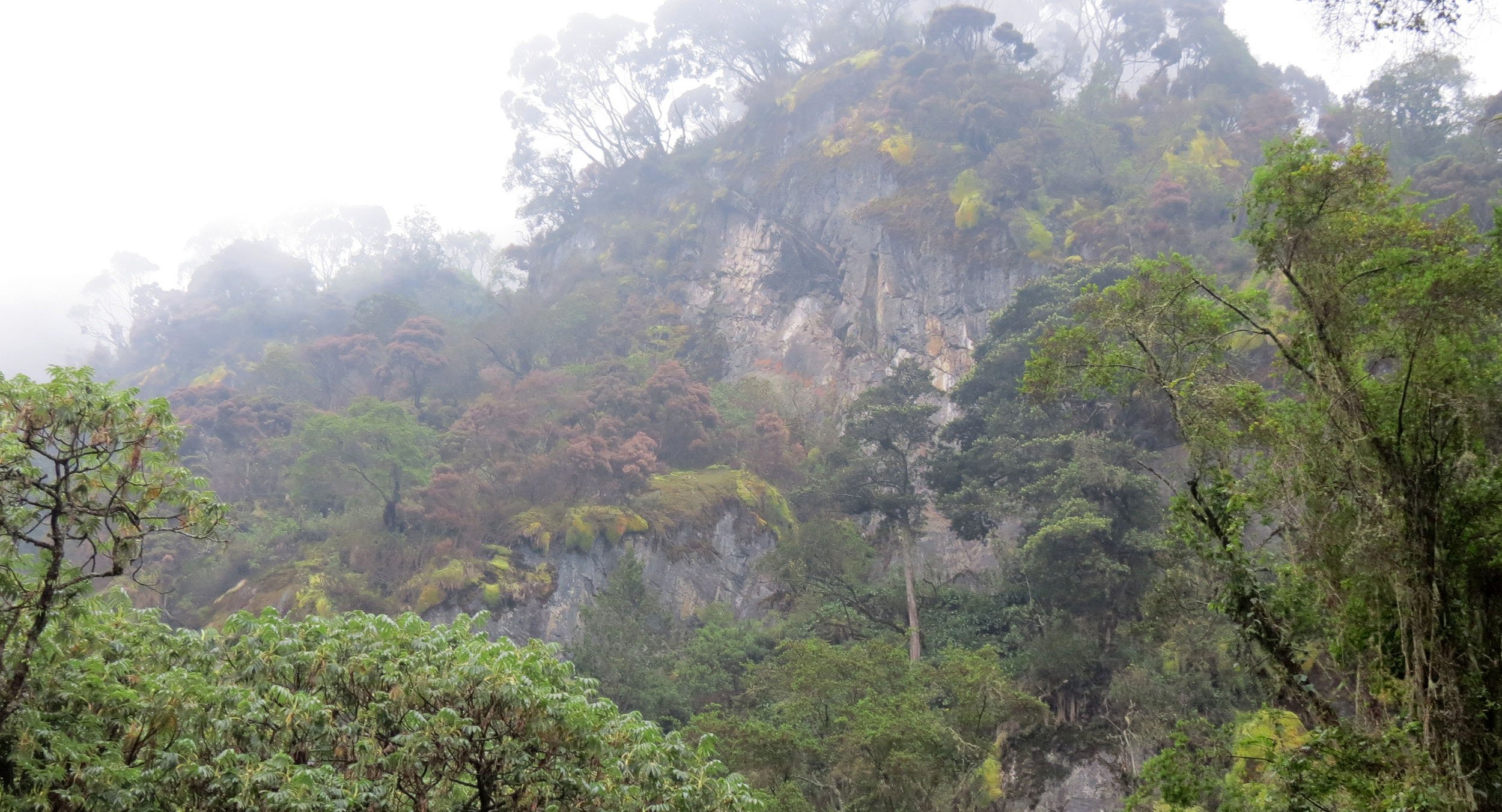 RWENZORI NATIONAL PARK UGANDA (109).JPG