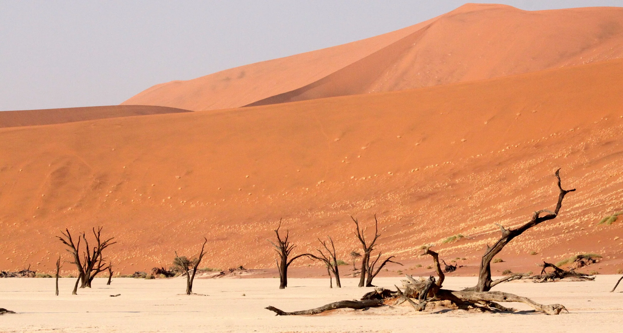 SOSSUSVLEI, NAMIB NAUKLUFT NATIONAL PARK, NAMIBIA - DEAD VLEI (17).JPG