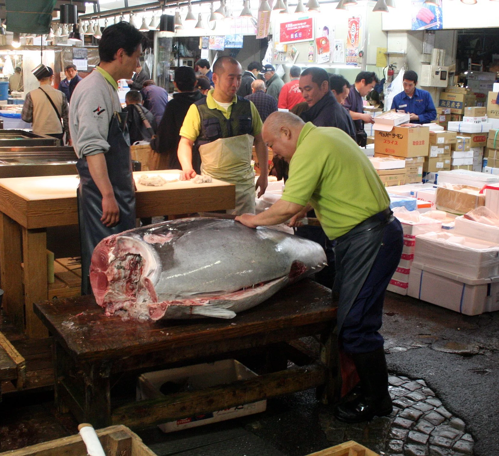 TOKYO - MAY 2009 - TSUKIJI MARKET (31).JPG