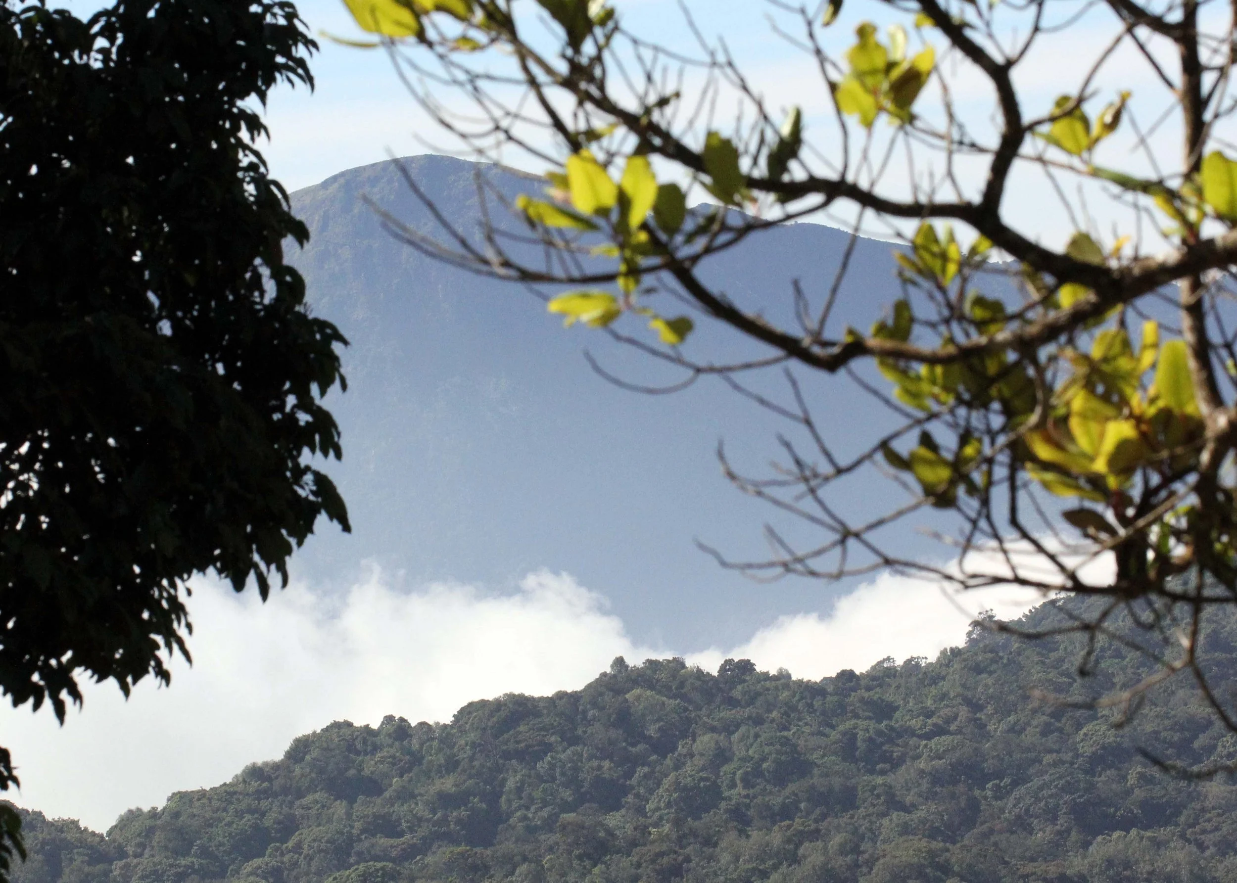 PAMPADUM SHOLA NATIONAL PARK - KERALA INDIA - PHOTO BY SOM SMITH (87).JPG