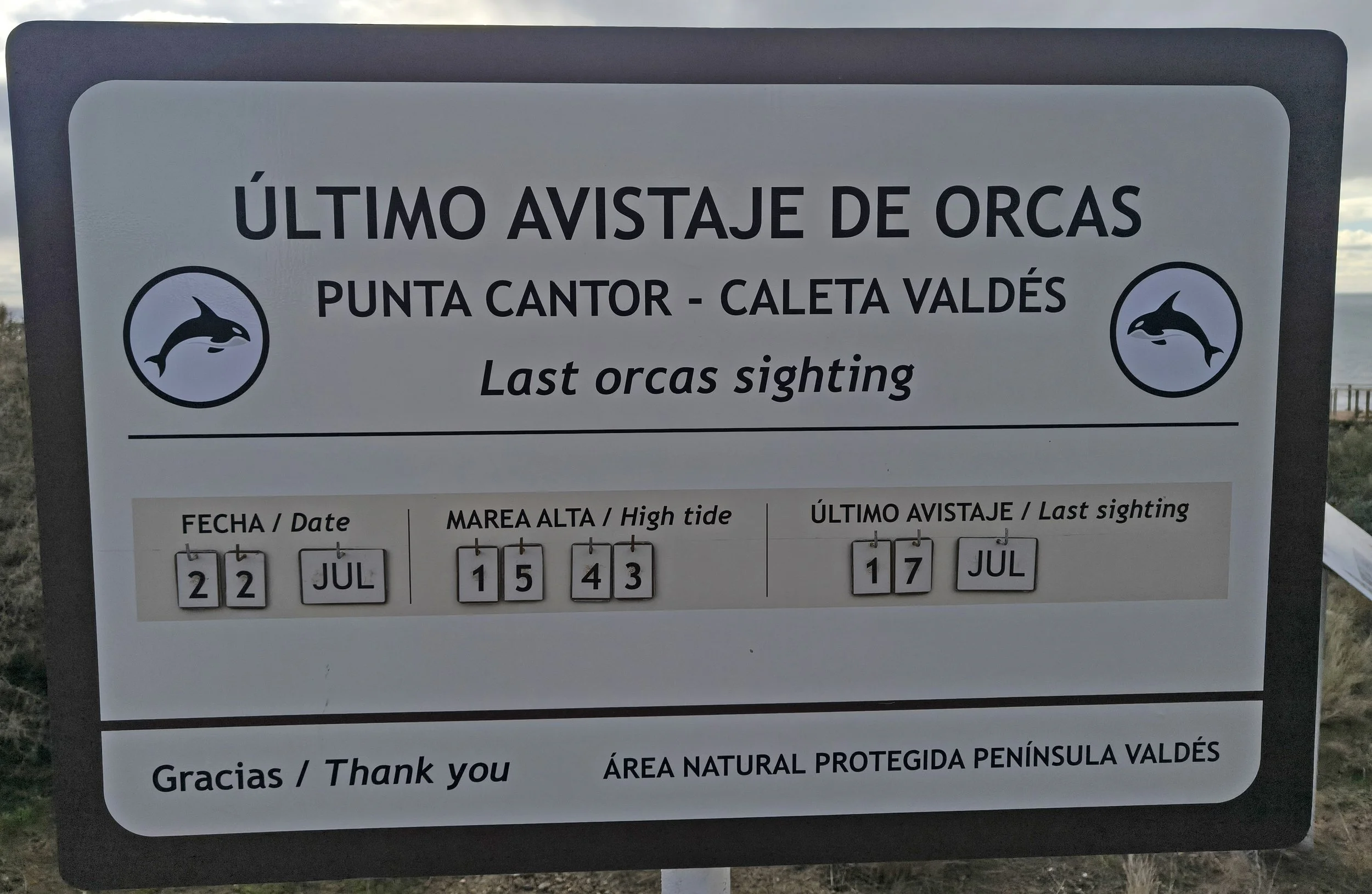 Valdes Peninsula, Chubut Province, Argentina (29).jpg