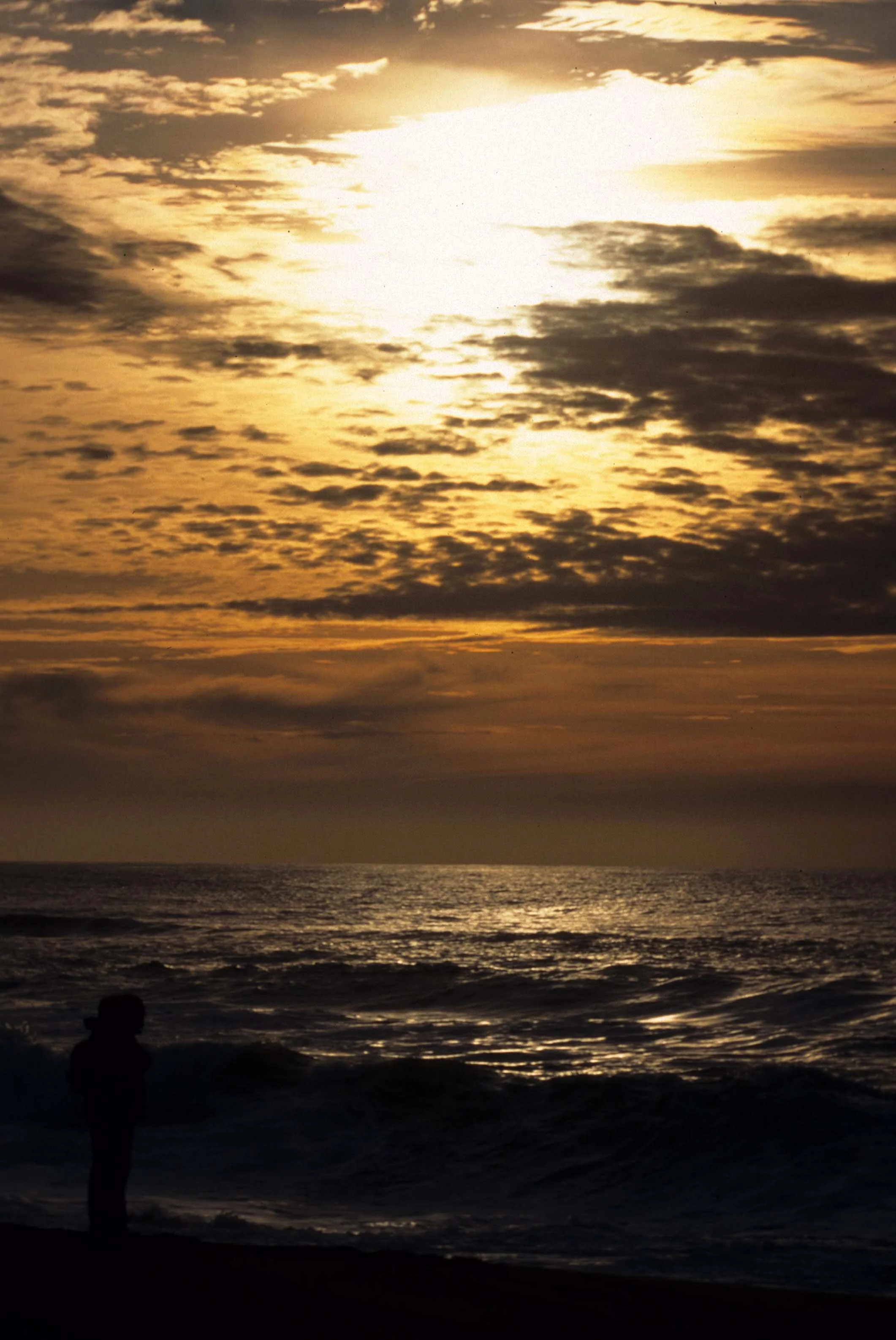 CALIFORNIA - POINT REYES SUNSET.jpg