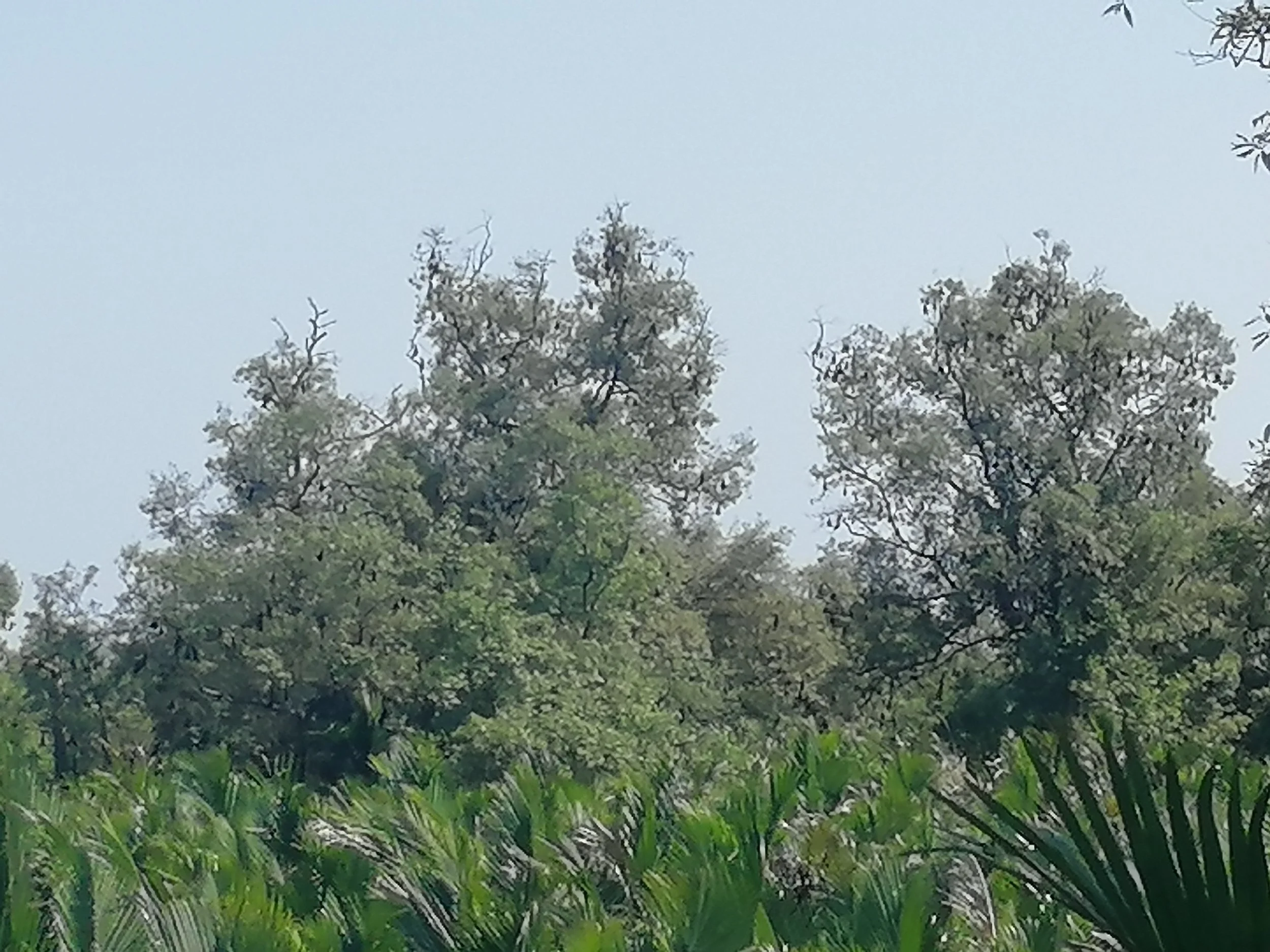 2019 Samut Prakan Phi Suea Samut Fort Museum & Island Motorcycle Rides with Cokie & Gift (28).jpg
